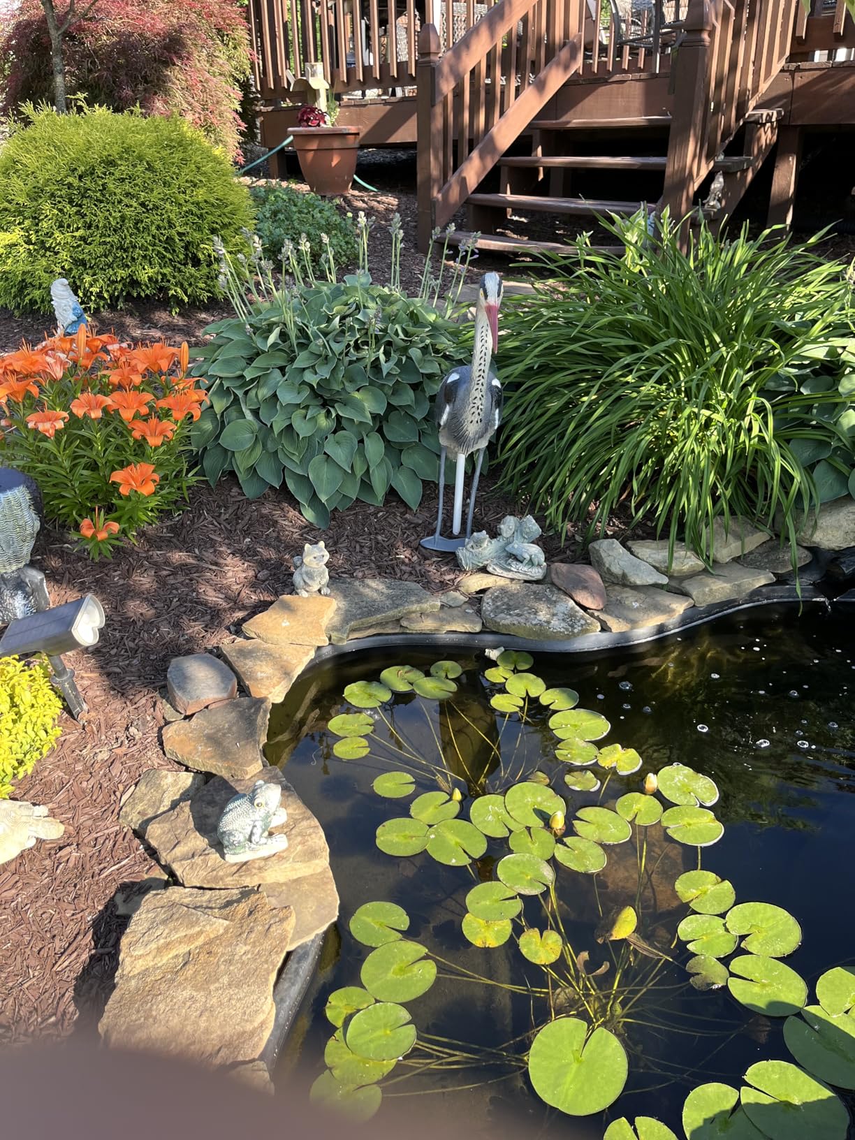 Pond H2o Blue Heron Decoy with Legs & Stake 30'' (76cm) Tall, Adult Blue Heron Statue for Backyard Koi Fish Ponds, Yards & Water Gardens customer photo 2