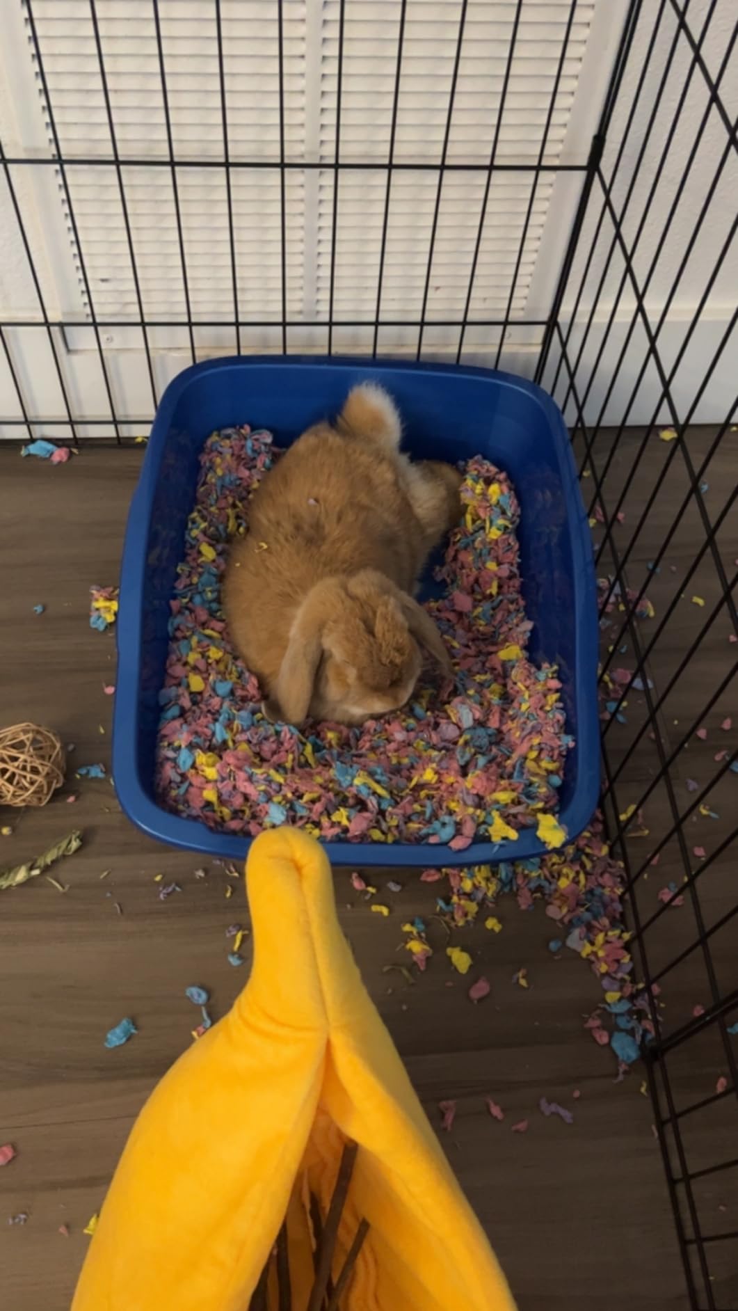 Carefresh 99% Dust-Free Confetti Natural Paper Small Pet Bedding with Odor Control, 23 L customer photo 1