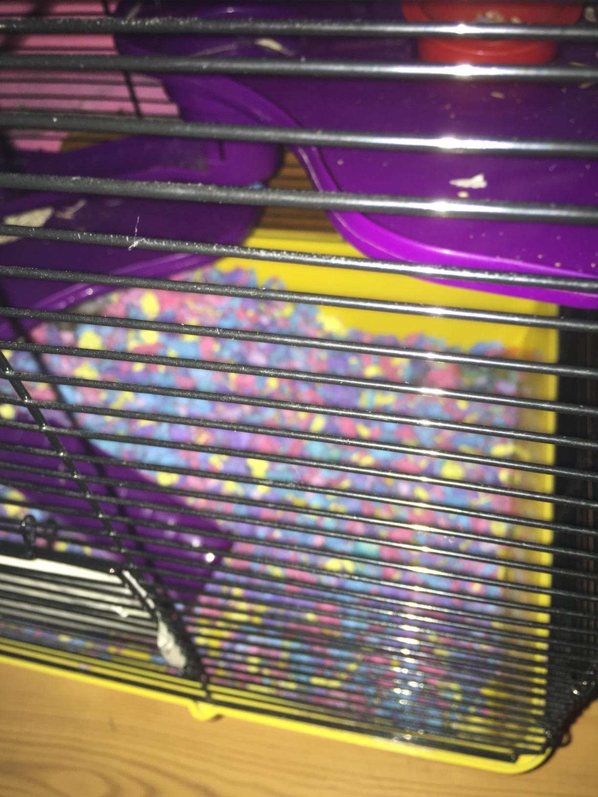 Carefresh 99% Dust-Free Confetti Natural Paper Small Pet Bedding with Odor Control, 23 L customer photo 2