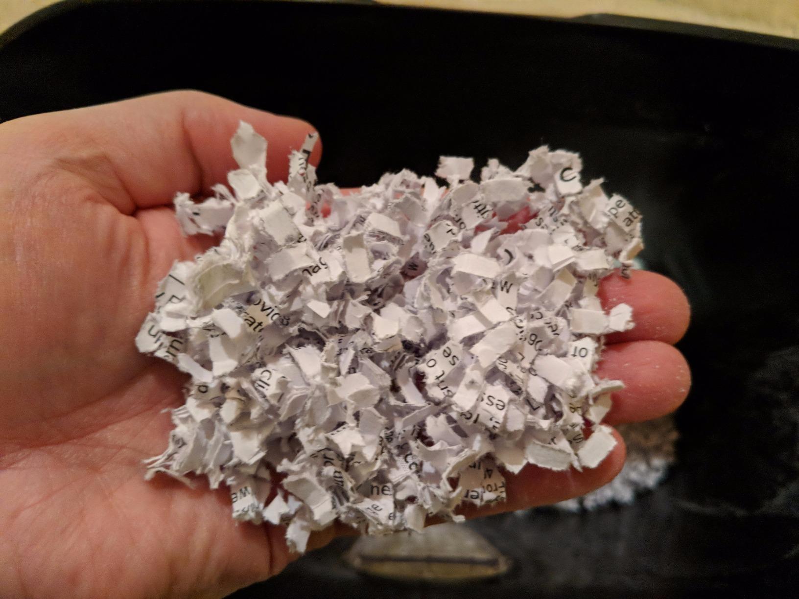 Amazon Basics 6 Sheet High Security Micro-Cut Paper and Credit Card Shredder, P-4 Security Level customer photo 2