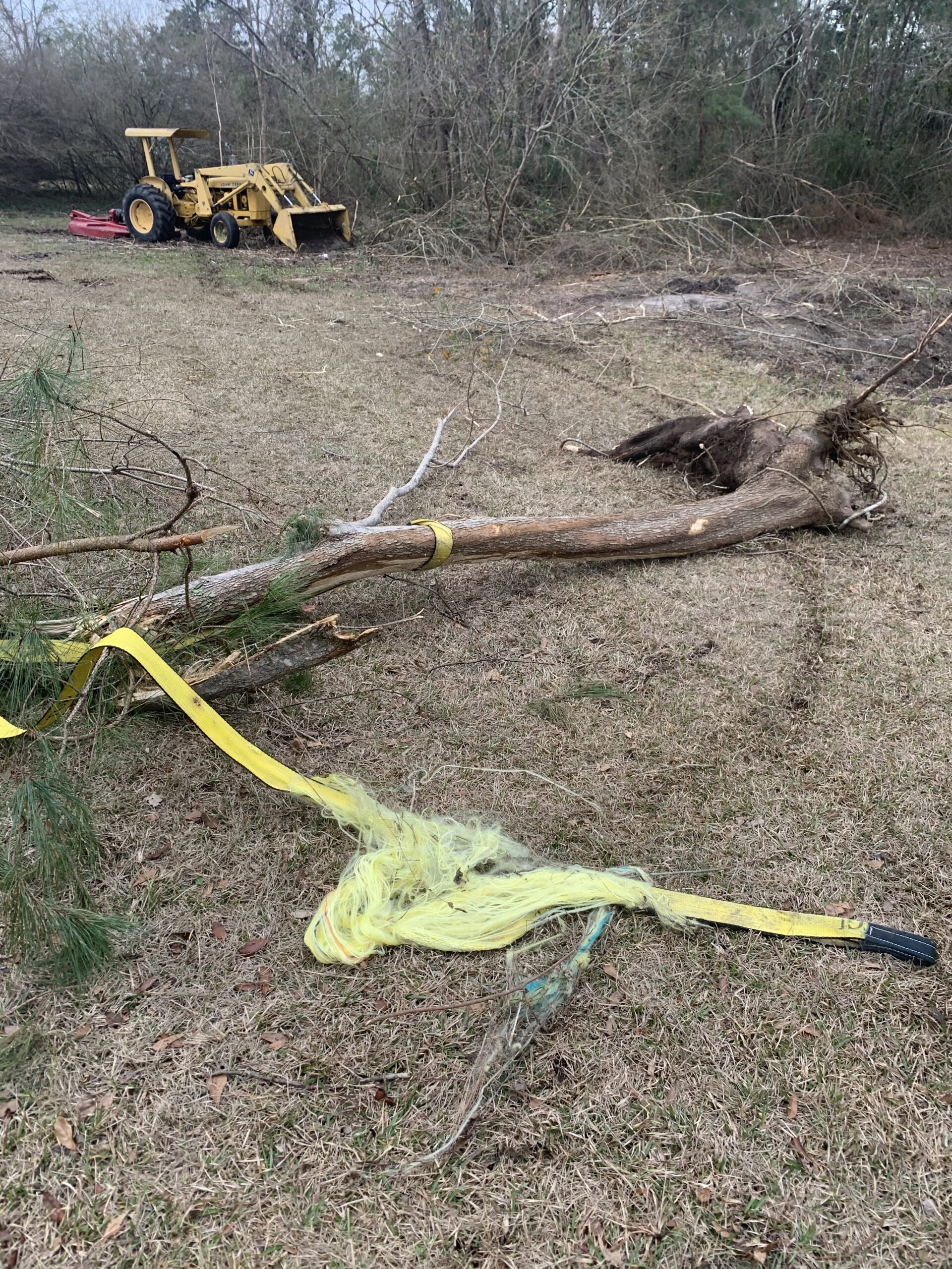 TGL 3 inch, 8 Foot Tree Saver Strap, Recovery Short Tow Strap with Loops, Winch Tree Saver Strap. 30,000 lbs MBS customer photo 1