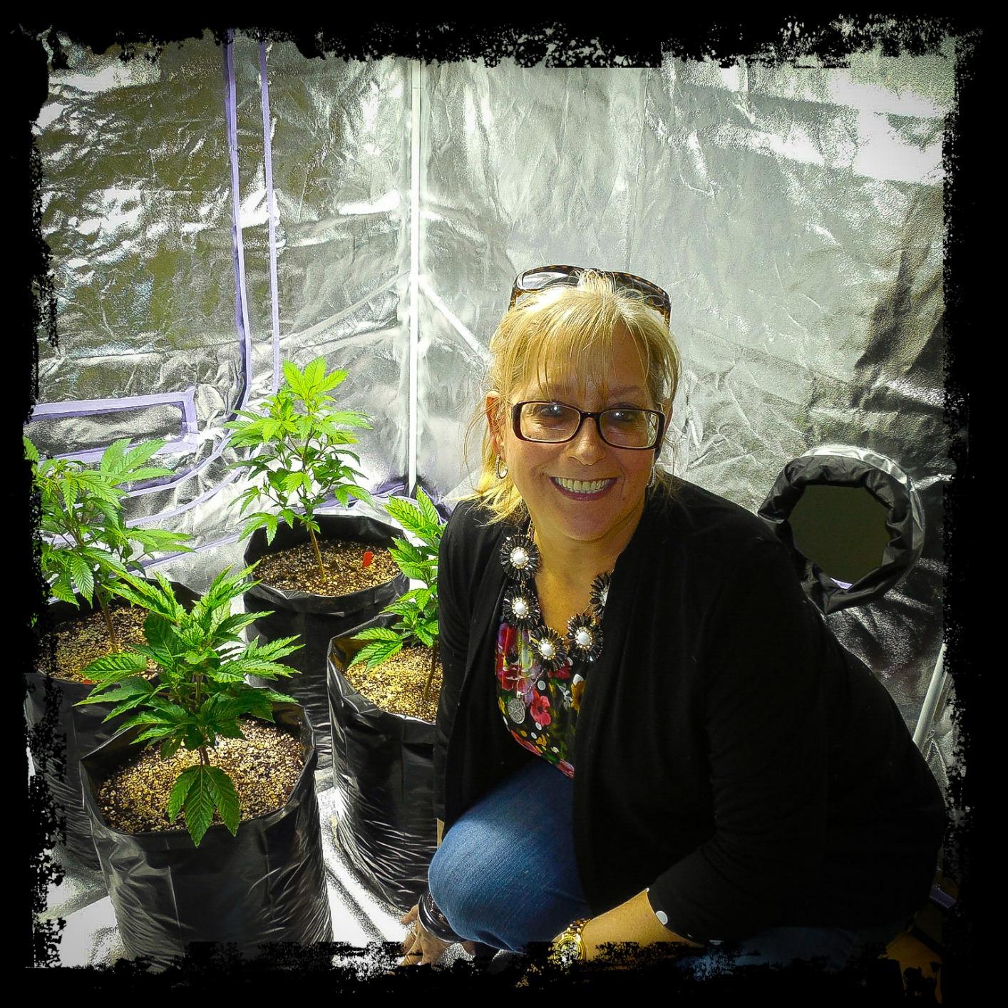 Advanced Nutrients 6201-14AB pH Perfect Sensi Grow Part A+B, 1 Liter, Brown/A customer photo 1