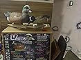 Flambeau Outdoors 8016SUV Storm Front 2 Blue-Winged Teal Decoys, Classic Floaters- 6-Pack customer photo 1