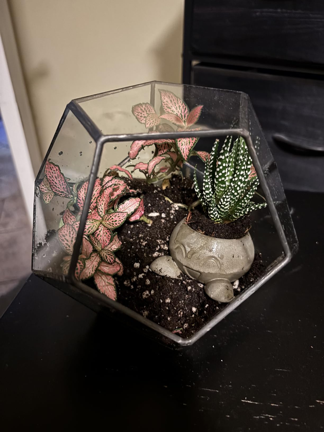 NCYP Small No Door Terrarium Planter - 6.8