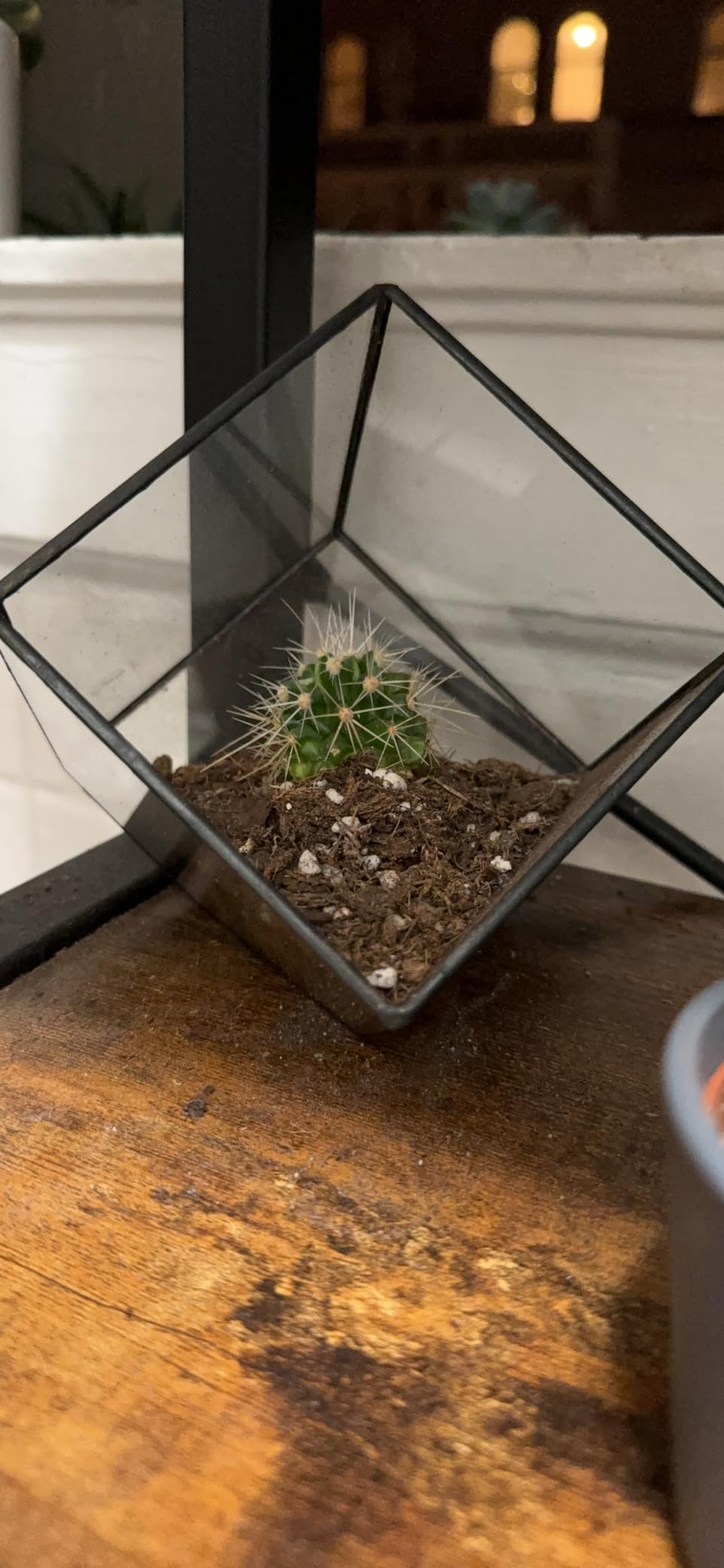 NCYP Small 3.93 Inches Geometric Glass Terrarium Box, Inclined Cube Clear Decorative Planter, Tabletop Air Plant Holder, Succulent Display Flower Pot, Black Centerpiece (No Plants, No Lid) customer photo 1