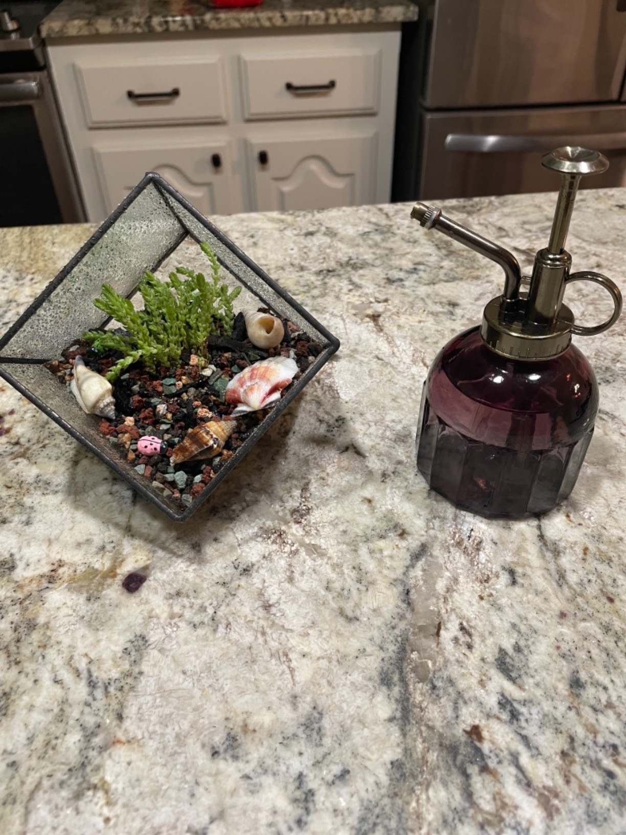 NCYP Small 3.93 Inches Geometric Glass Terrarium Box, Inclined Cube Clear Decorative Planter, Tabletop Air Plant Holder, Succulent Display Flower Pot, Black Centerpiece (No Plants, No Lid) customer photo 2