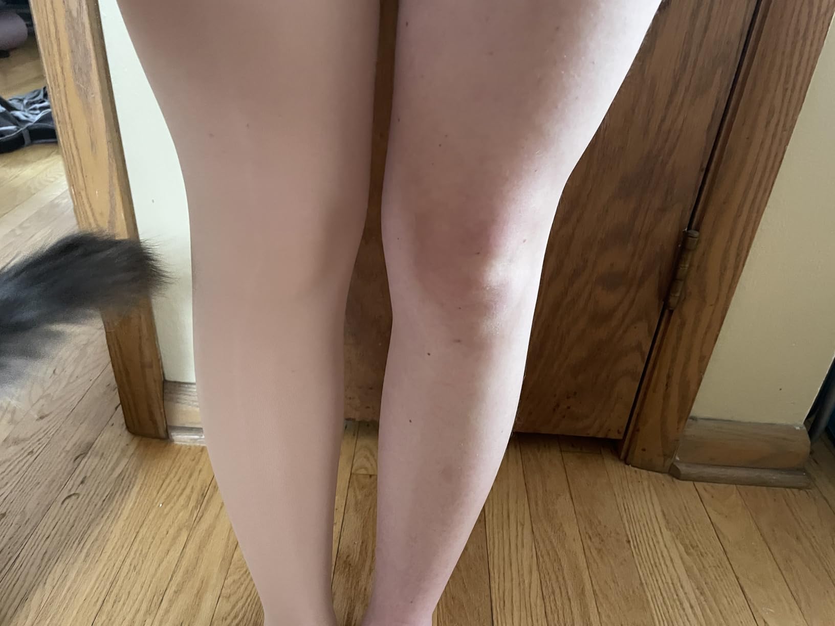 Capezio Adult Ultra Soft Transition Tight customer photo 2