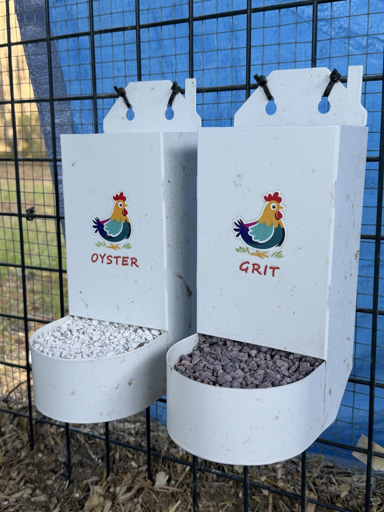 Manna Pro Chicken Grit with Probiotics - Crushed Granite Grit for Backyard Chickens, Supports Healthy Digestion and Gizzard Function, Ideal for Laying Hens and Small Flocks, 5 lb Bag customer photo 1