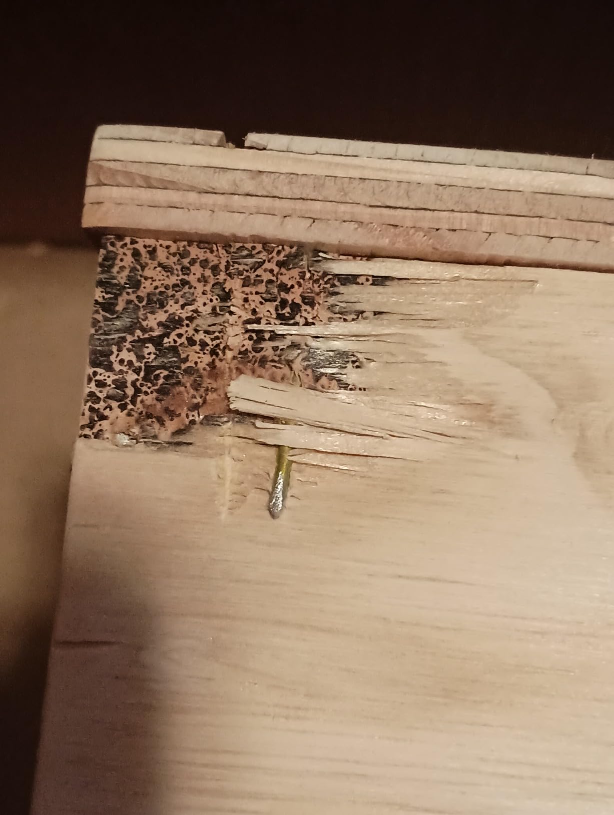 Wood Nest Boxes - Large customer photo 1