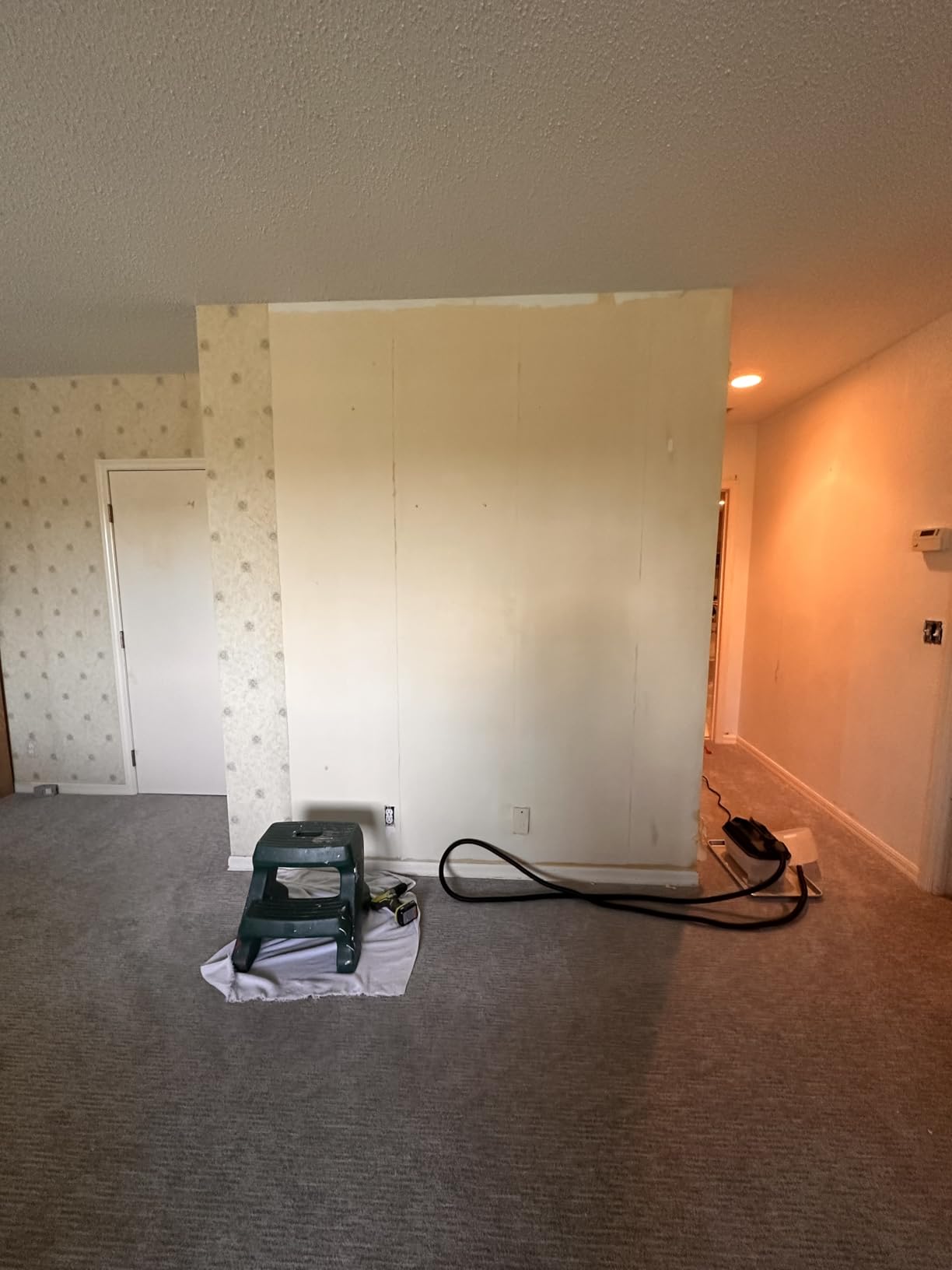 Wagner Spraytech 0282036 715 Power Wallpaper Steamer, Chemical Free Remover, Two Steam Plates Included, Long Run Time, Lightweight Design customer photo 2