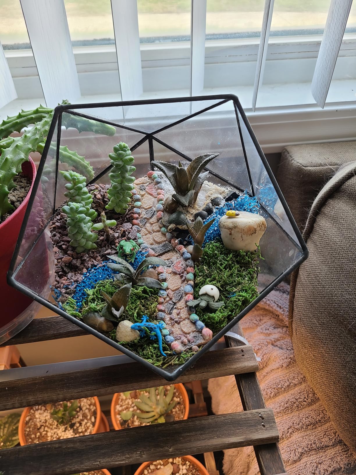 NCYP Opened Geometric Glass Terrarium, 6.69
