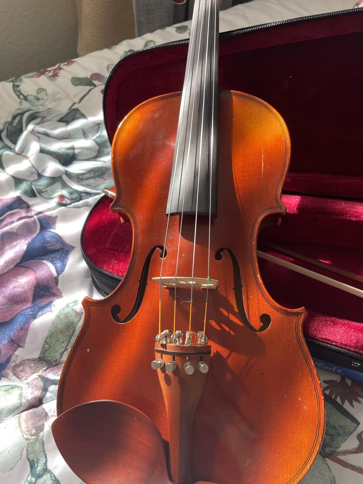 D'Addario Ascente Violin Strings - A310 4/4M - Full Set - Synthetic Core, Medium Tension customer photo 2