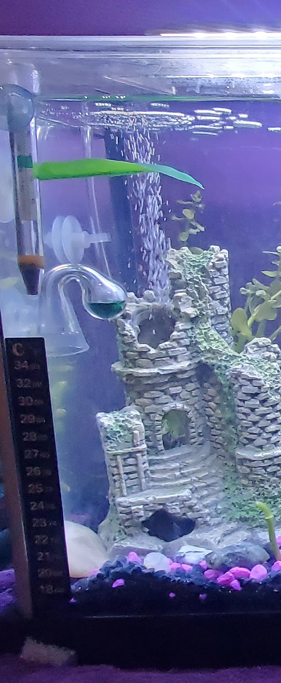 Co2 Drop Checker, Quickest Most Accurate Easiest to Use Glass Co2 Drop Checker for Aquarium Fish Tank with Solution (CO2 Checker with Solution) customer photo 1