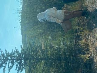 Bee Jacket with Veil - Natural Canvas Bee Suit Jacket with Elastic Waist & Cuffs, YKK Brass Zippers, 3 Utility Pockets. Removable Hood Interchangeable with Forest Beekeeping Suit. XL customer photo 1