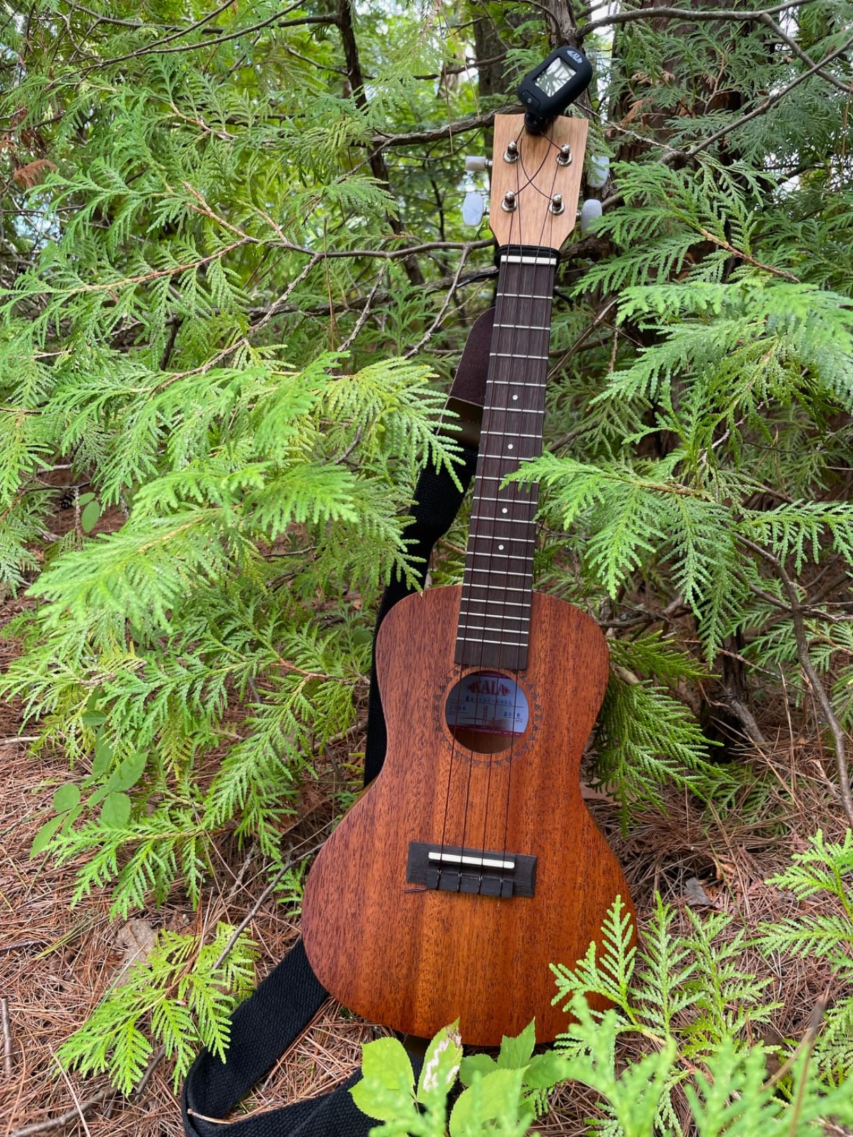 Kala KA-15C Satin Mahogany Concert Ukulele Bundle with Hard Case, Tuner, Strap, Strings, Austin Bazaar Instructional DVD, and Polishing Cloth customer photo 1