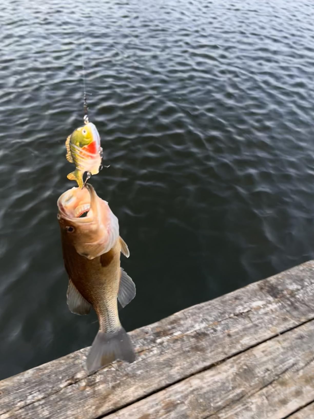 BASSDASH SwimPanfish Multi Jointed Panfish Bluegill Swimbaits Hard Topwater Bass Lures customer photo 1