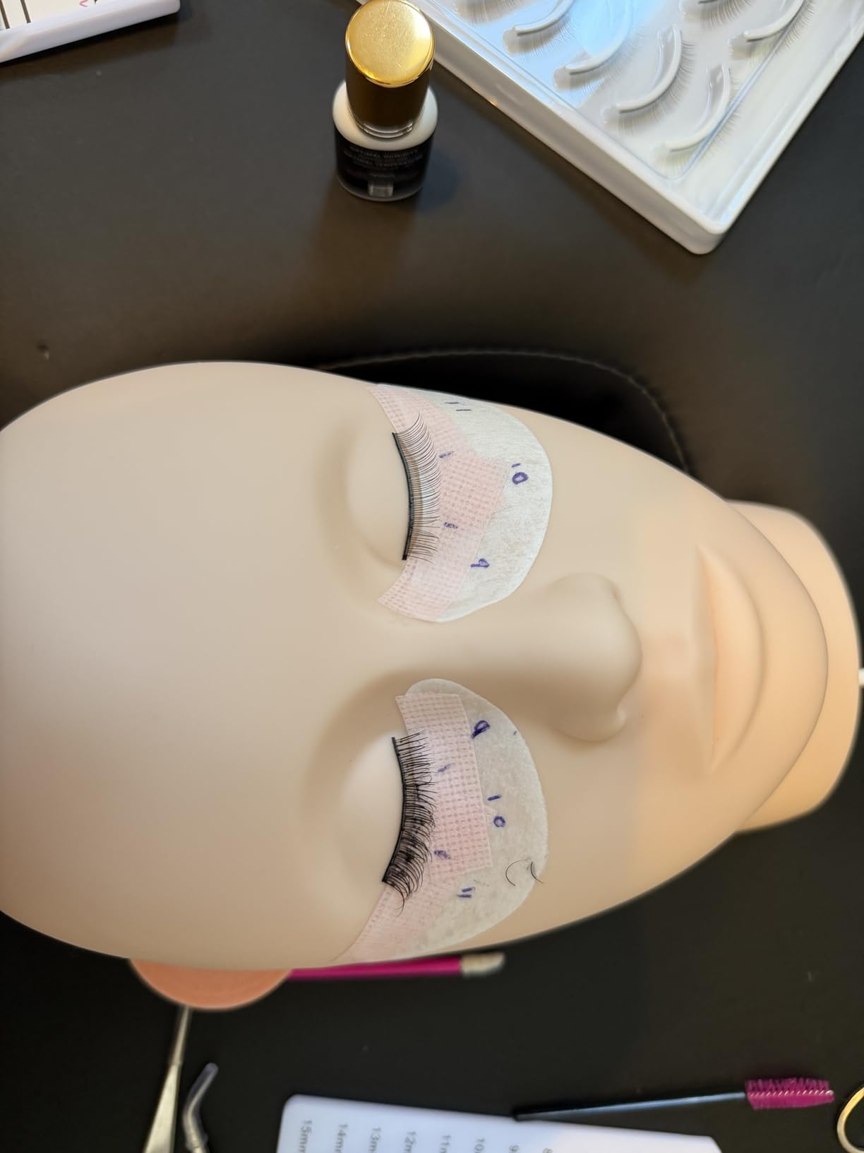 Hoka Lash Eyelash Extension Kit & Training Course and Certification, Professional Lash Extension Kit for Beginners Includes Practice Mannequin Head, Lash Trays, Glue, Tweezers, Fan & More customer photo 2
