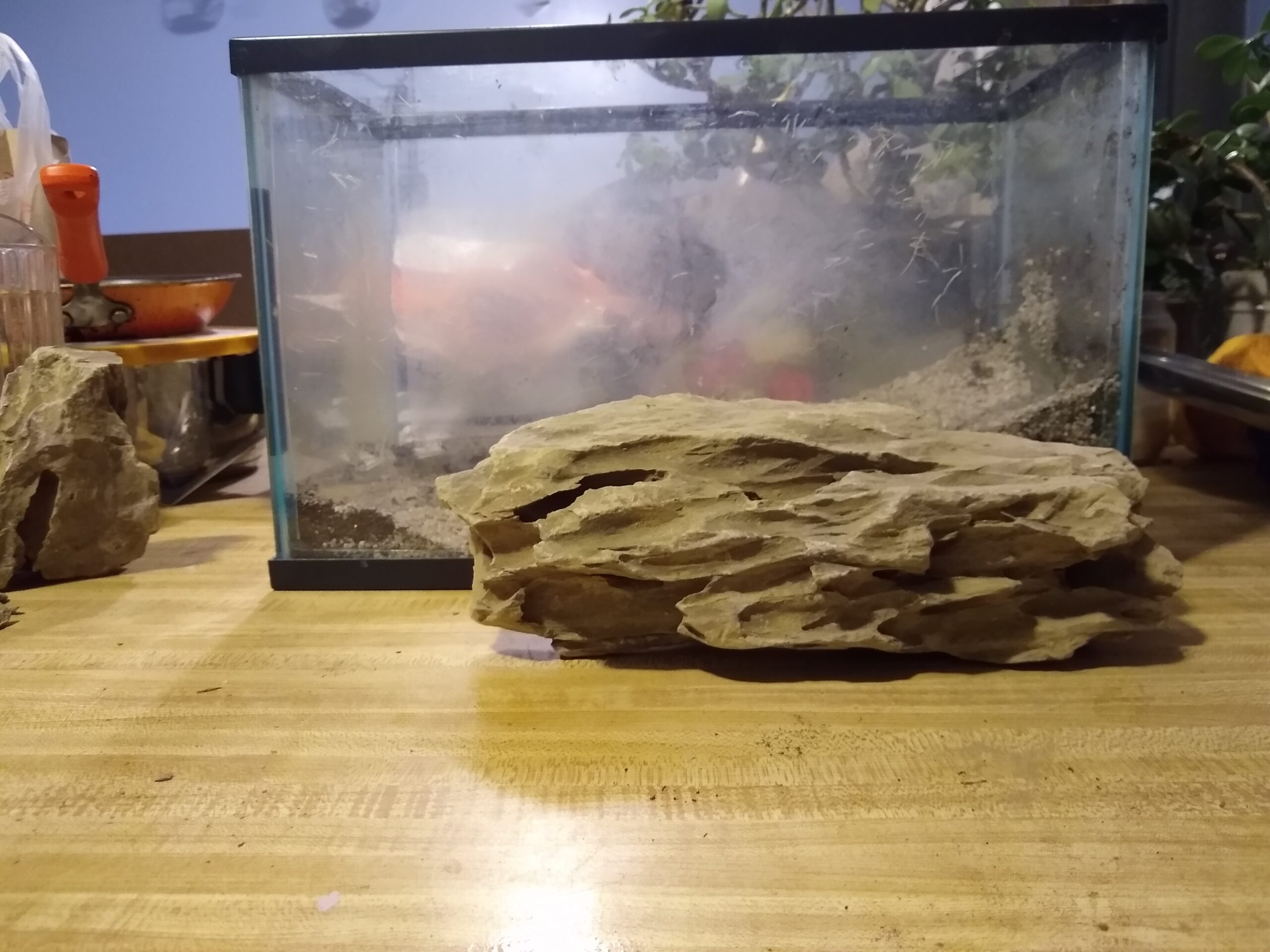 Aquarium Ohko Dragon Stone Rock Mixed Sizes customer photo 2