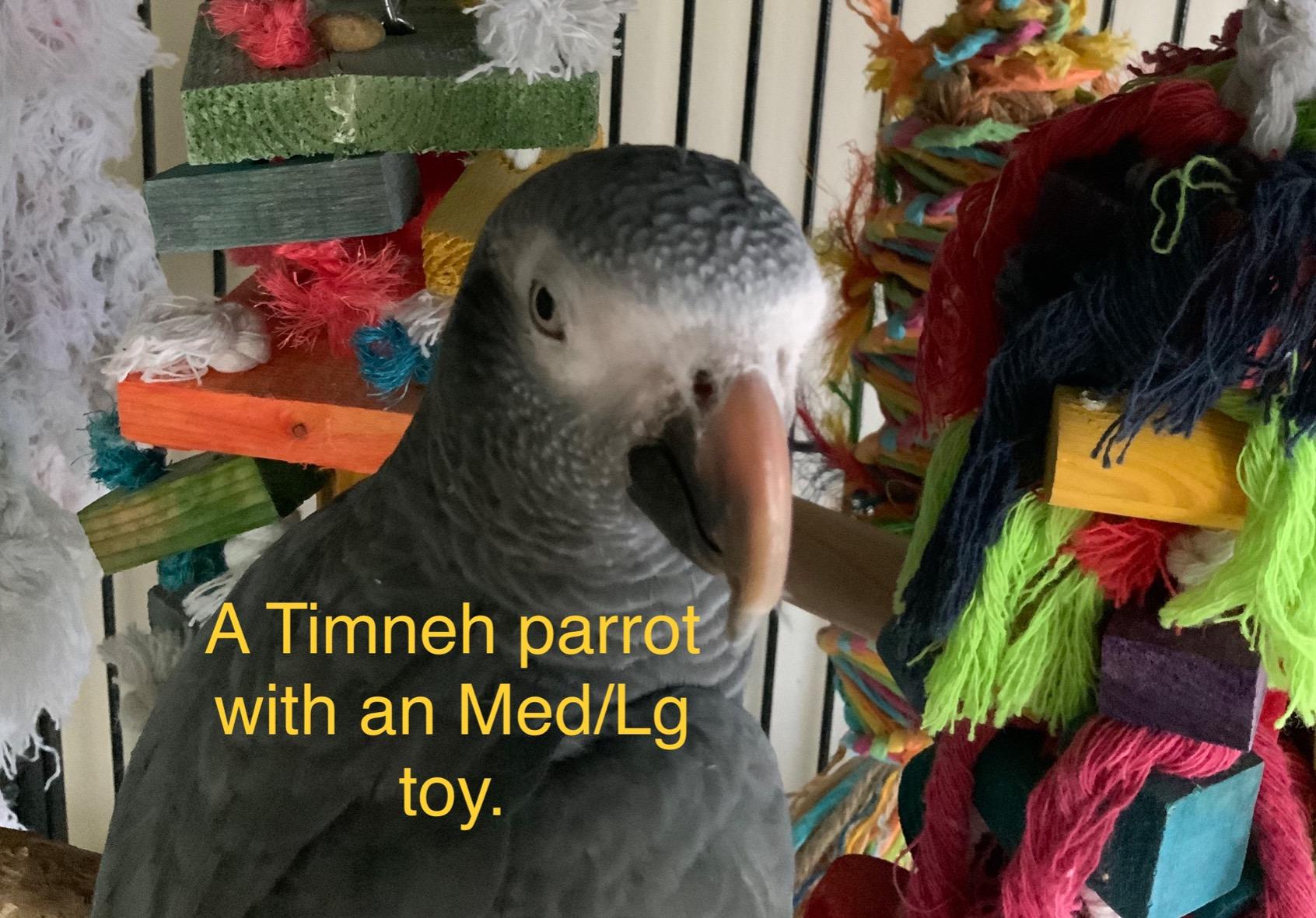 Large Parrot Toy - Multicolored Natural Wood Blocks Tearing Toys for Birds Suggested for African Grey, Macaw and Amazon Parrots customer photo 2