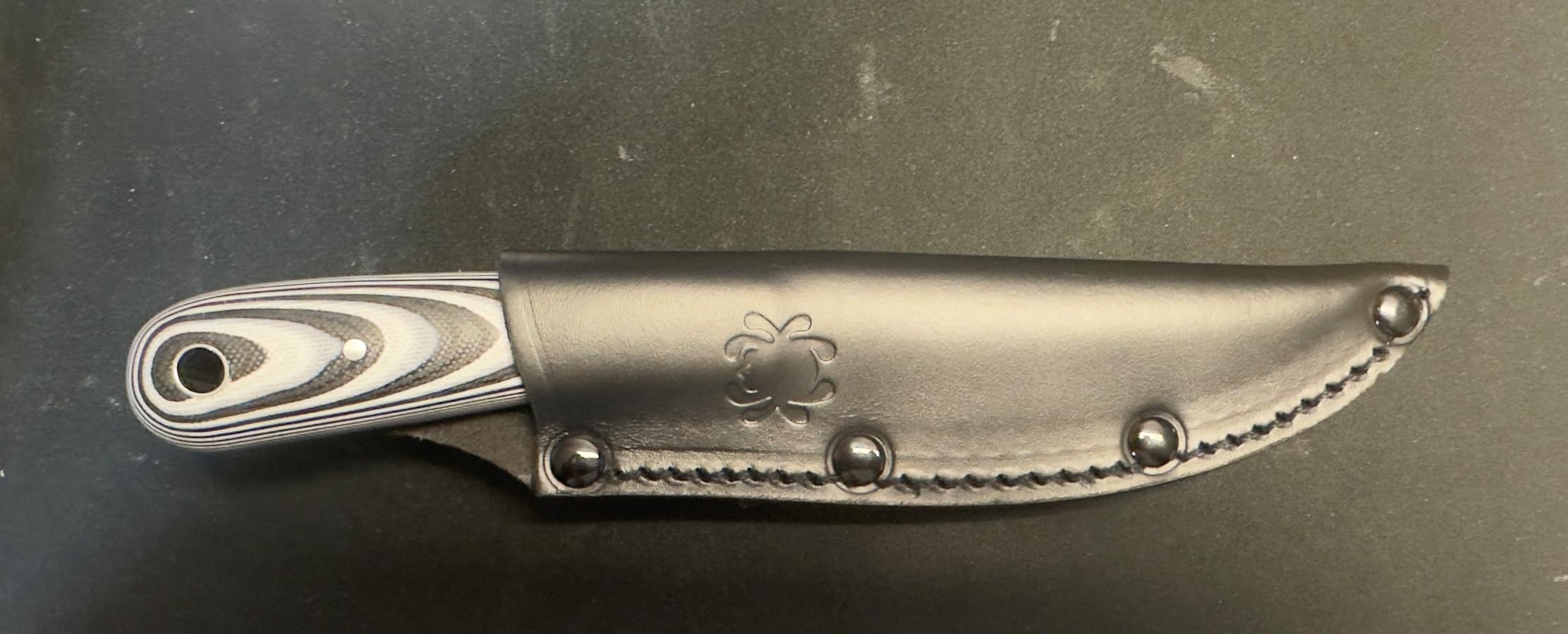 Spyderco Bow River Fixed Blade Outdoor Hunting Knife with 4.40