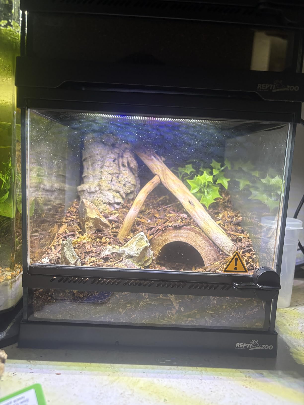 REPTI ZOO Mini Reptile Glass Terrarium, Front Opening Door Full View Visually Appealing Mini Reptile or Amphibians Glass Habitat customer photo 1