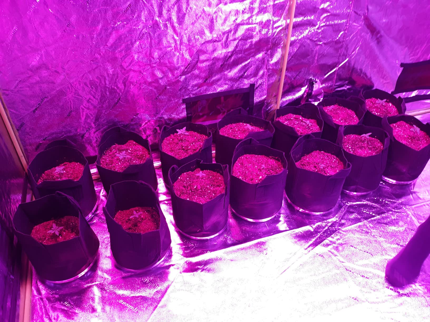 VIVOSUN 4x5 Grow Tent 2-in-1 Propagation & Growing Tents, 60