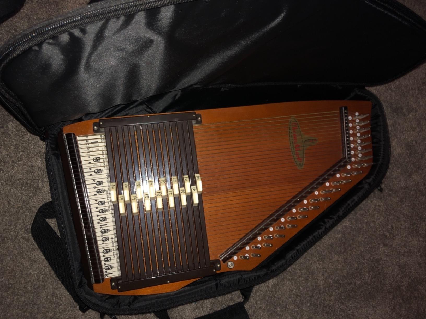Auto Harp Gig Bags, Padded, Black (AC545) Autoharp Case customer photo 2