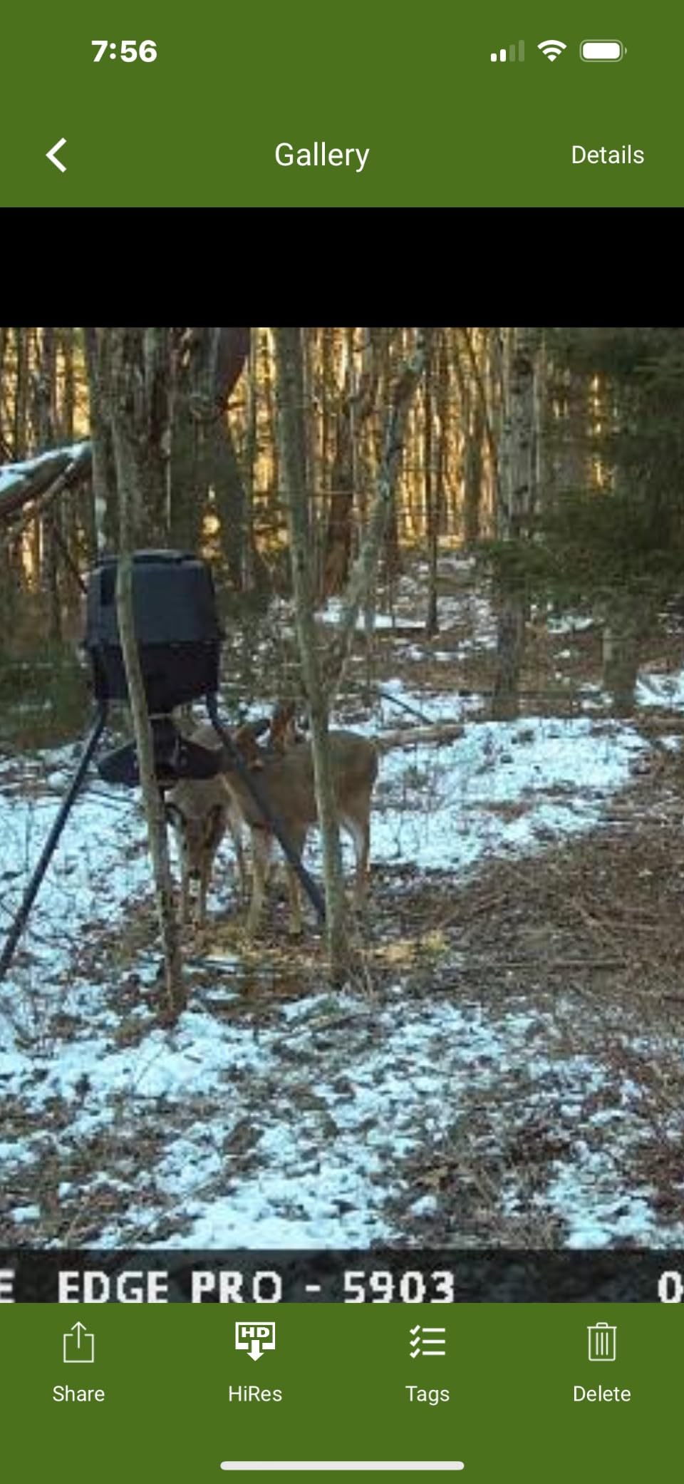 Moultrie Gravity Deer Feeder - Tripod Game Feeder - Easy Conversion Adapter - Protein Pellet Ready - Rugged No-Power Setup customer photo 1