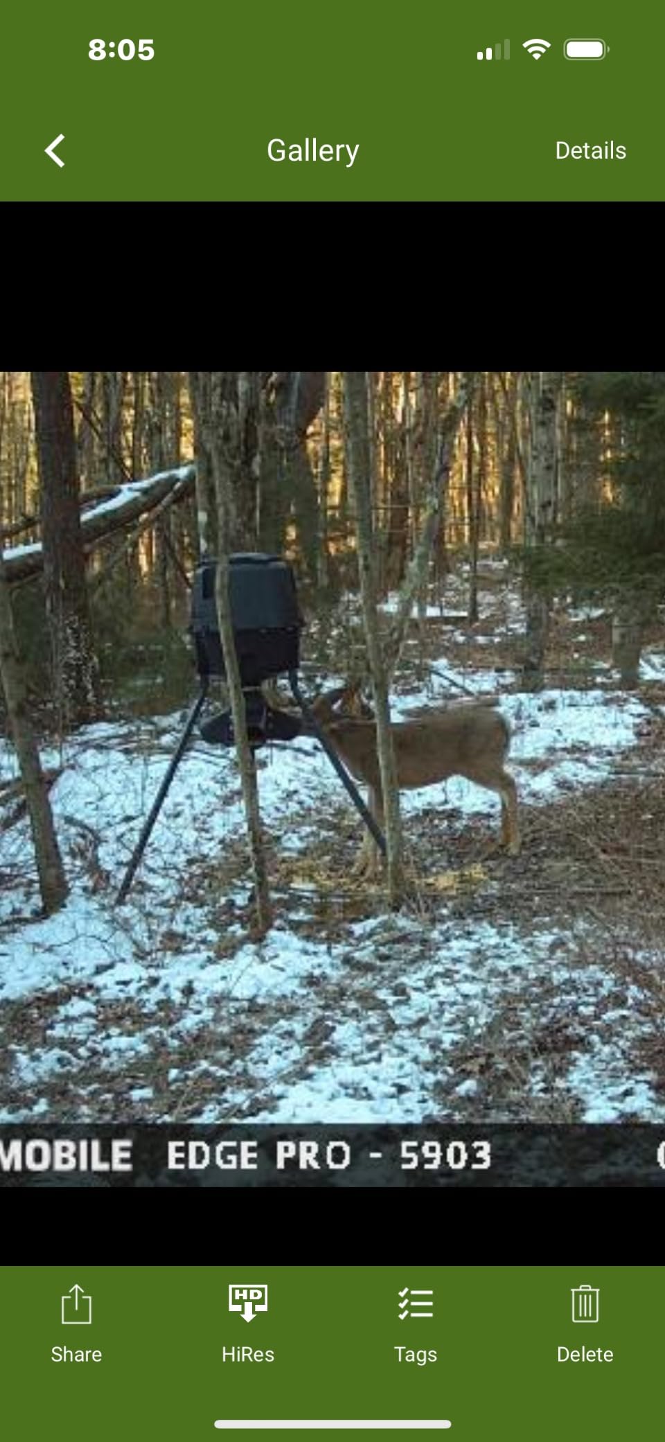 Moultrie Gravity Deer Feeder - Tripod Game Feeder - Easy Conversion Adapter - Protein Pellet Ready - Rugged No-Power Setup customer photo 2
