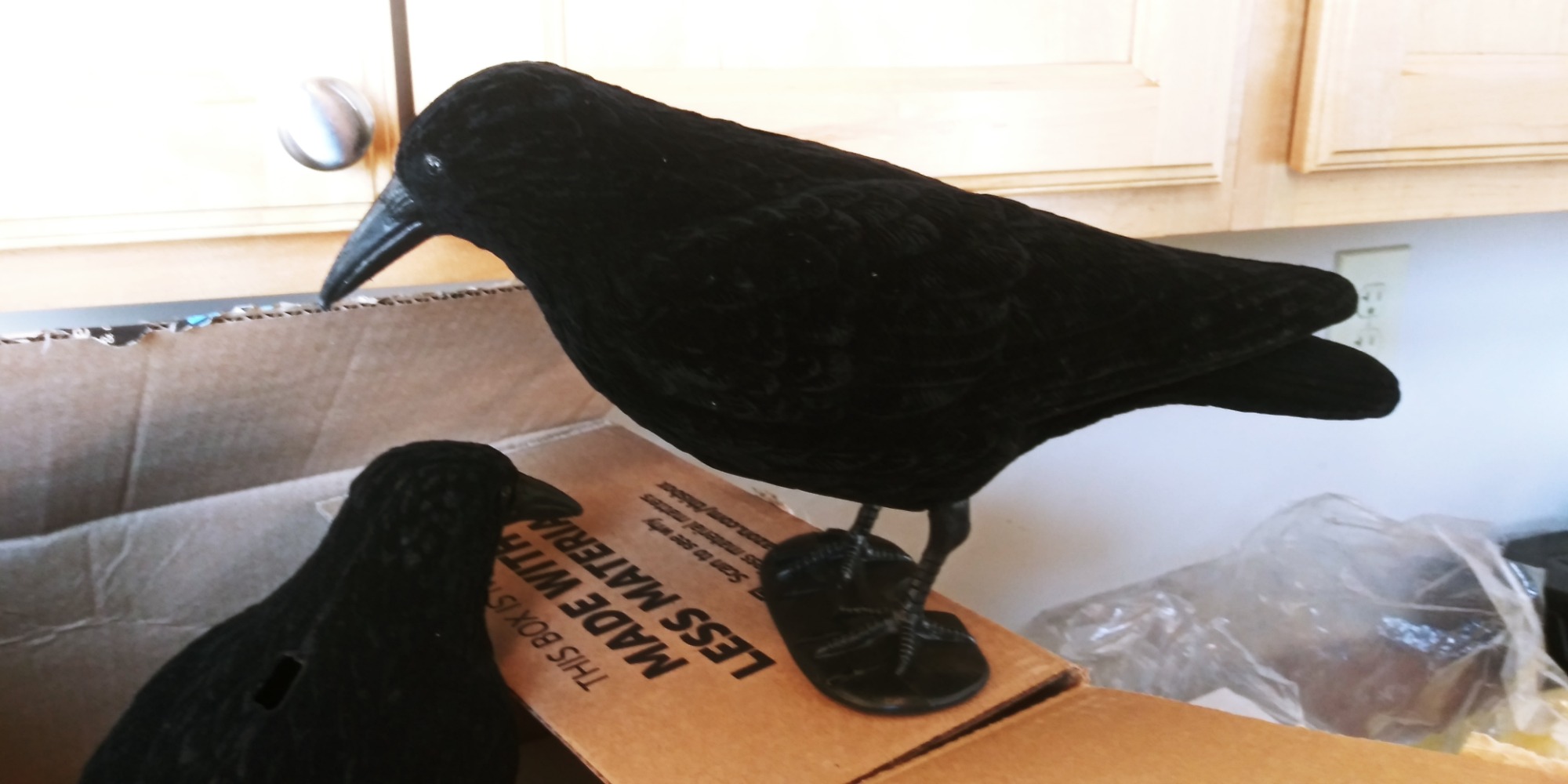 GUGULUZA Crow Decoys Full Body Plastic Crow Decoy for Hunting, Black Flocked Crow Decoy w/Feet Stake for Halloween Decor Yard Garden Decoration customer photo 1