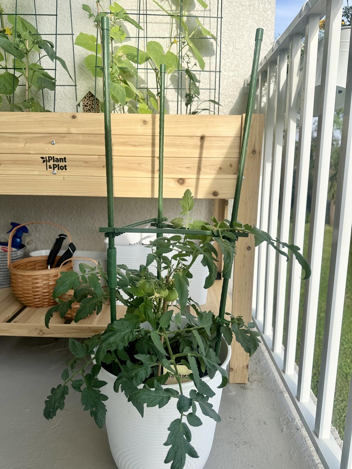 K-Brands Tomato Cage - Tomatoes Plant Stakes Support Cages Trellis for Garden and Pots (3 Pack - Extra Tall Upto 68 inches) customer photo 1