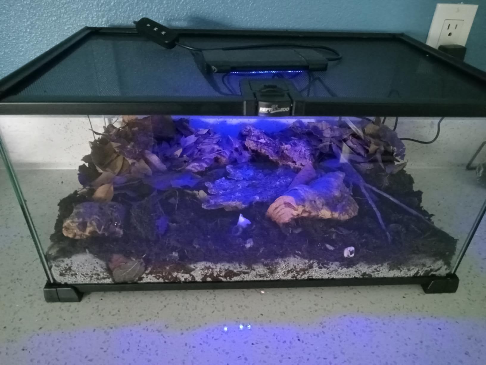 REPTI ZOO 10 Gallon Reptile Tank Glass Natural Cages Terrarium 20