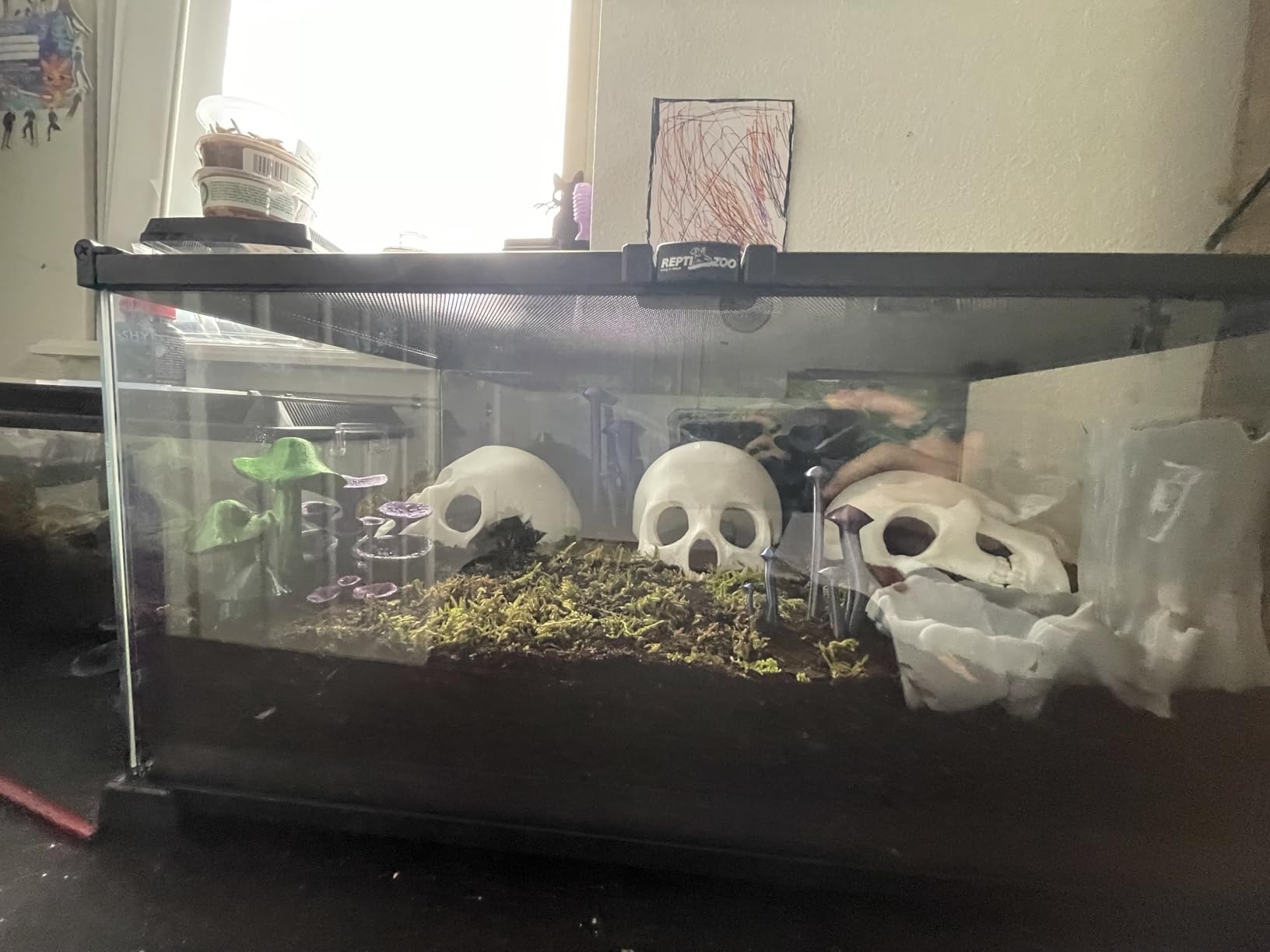 REPTI ZOO 10 Gallon Reptile Tank Glass Natural Cages Terrarium 20