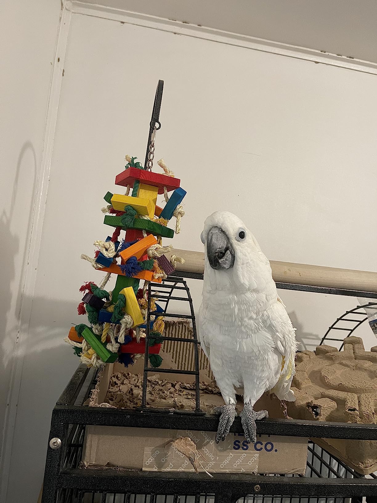 Deloky Bird Block Knots Tearing Toy- 19.7 inch Multicolored Natural Wooden Parrot Chewing Toy Suggested for Macaws cokatoos, African Grey and a Variety of Amazon Parrots. (Large Size) customer photo 2