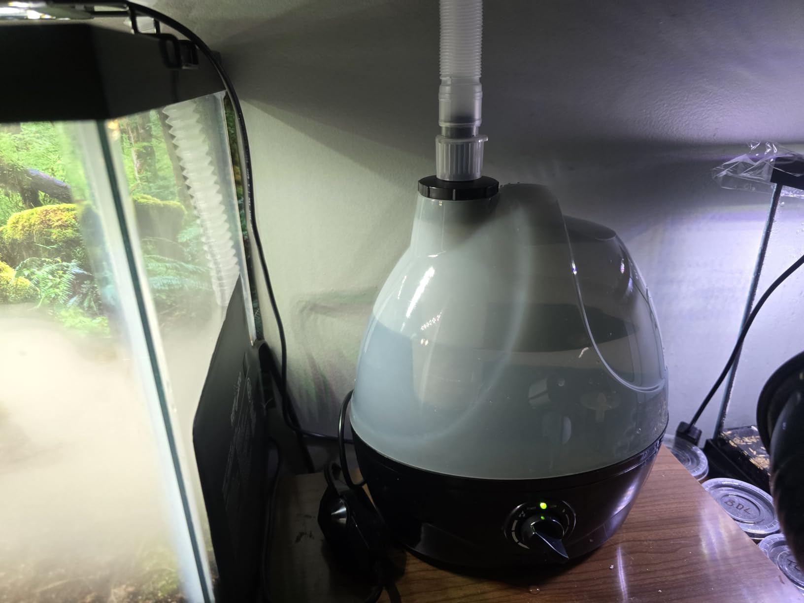 Evergreen Pet Supplies Ultrasonic Reptile Fogger Humidifier - Digital Timer Terrarium Fogger - Dry-Run Protection Automatic Misting System - Tabletop Humidifier for Reptiles - 4L, Black customer photo 2