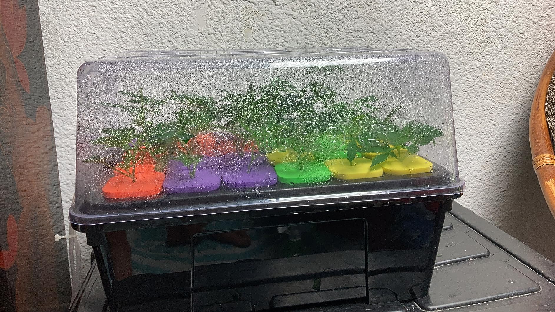 DWC Cloner Rooting Recirculating System 24 Site Cutting Clone and Seeding Root 2 in 1 Deep Water Cloner 24 Site with Clear Humidity Propagation Dome customer photo 1