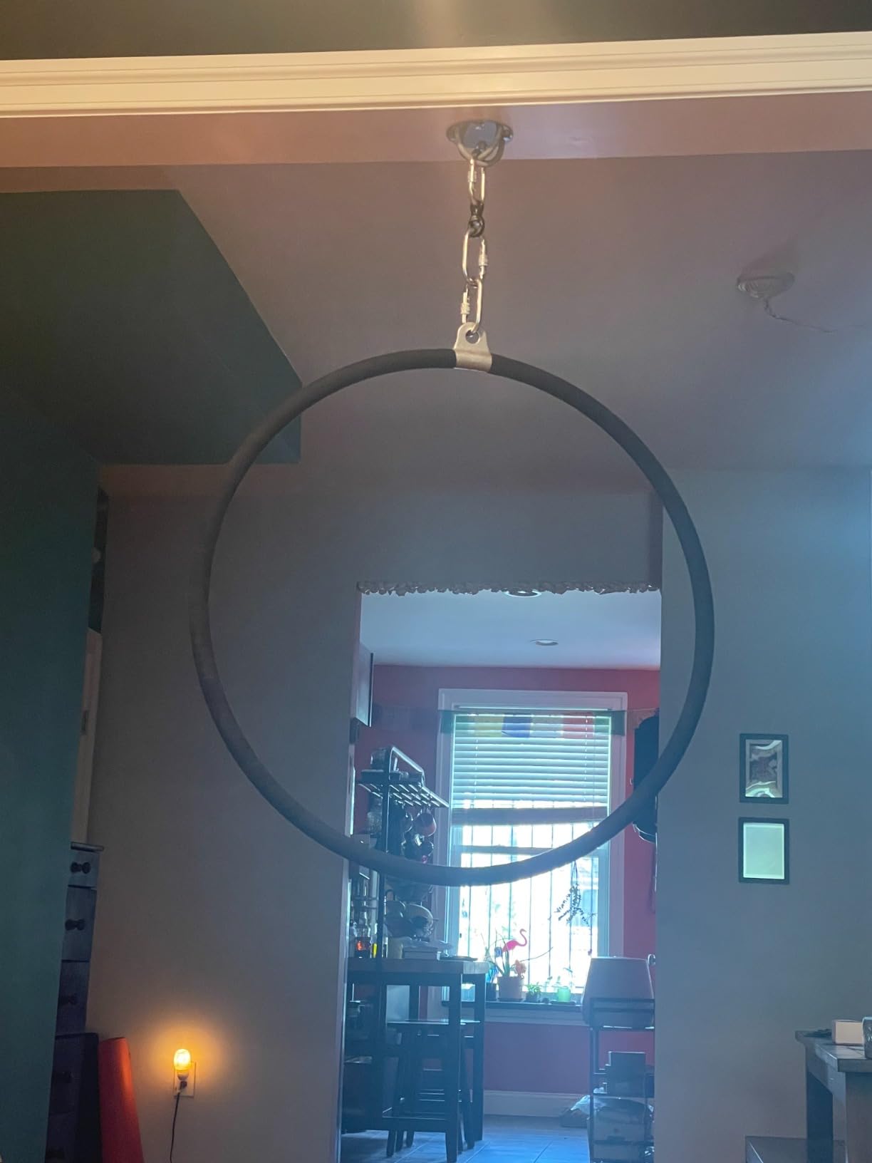 Aerial Hoop, 770 Lbs Strength Tested Lyra Hoop with Accessories, Single Point Aerial Equipment Yoga Hoop for Aerial Dancing, Yoga Training customer photo 1