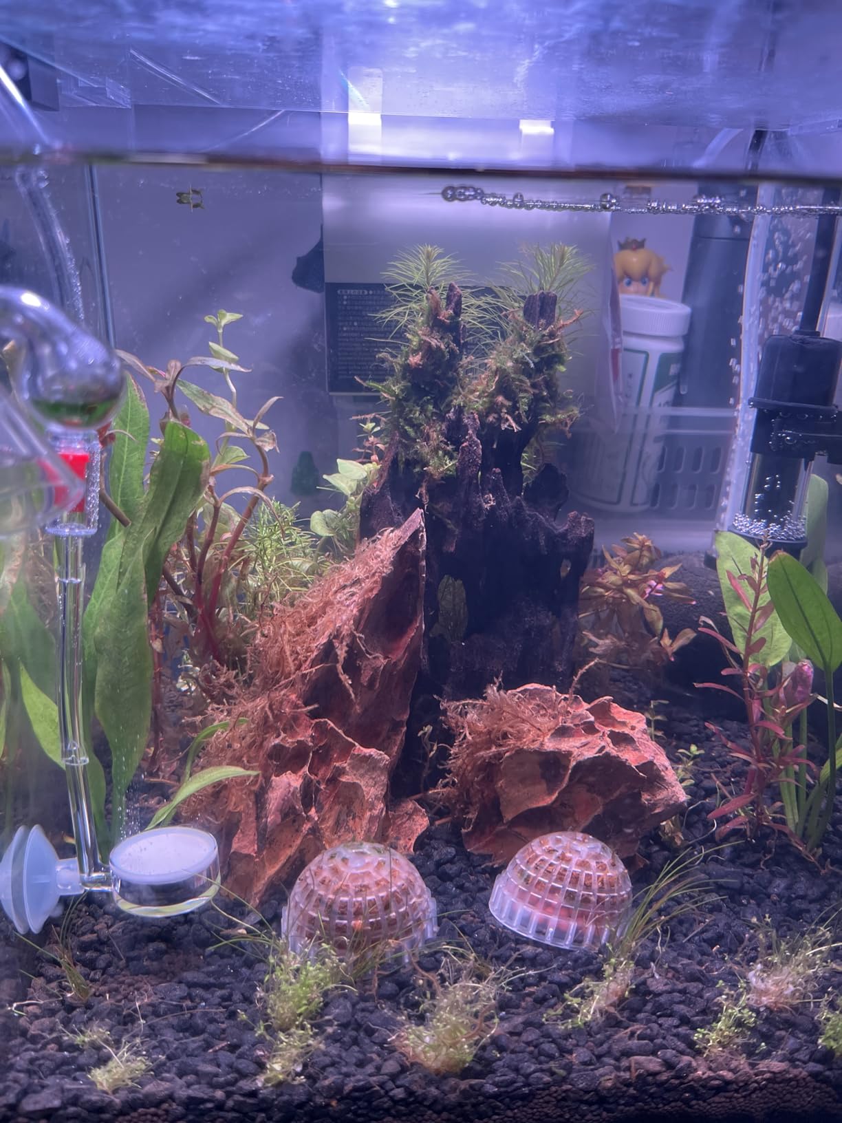 FZONE Aquatic CO2 Glass Drop Checker PH Monitor for Aquarium Plant Fish Tank Test CO2 Kit customer photo 1