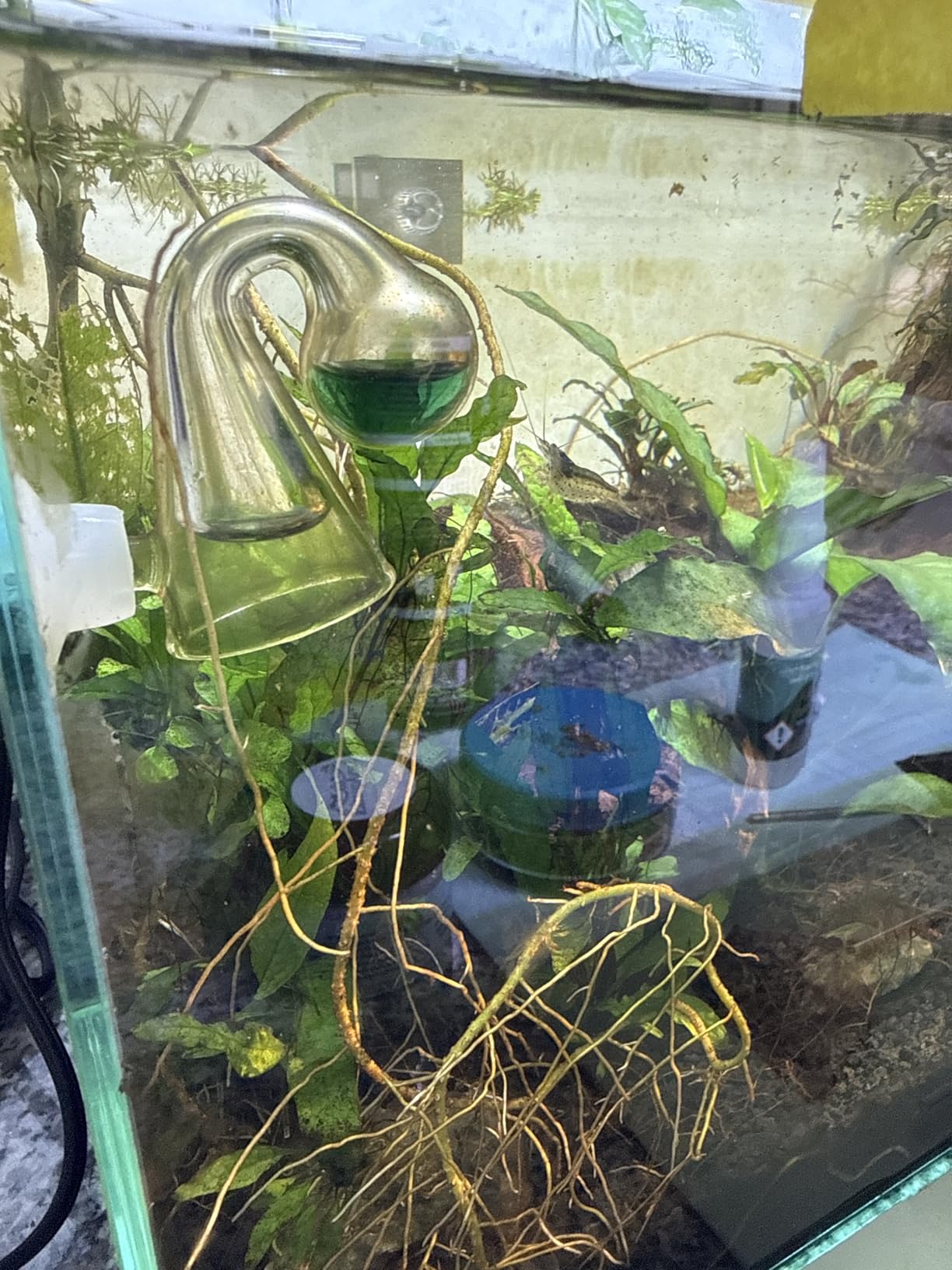 FZONE Aquatic CO2 Glass Drop Checker PH Monitor for Aquarium Plant Fish Tank Test CO2 Kit customer photo 2