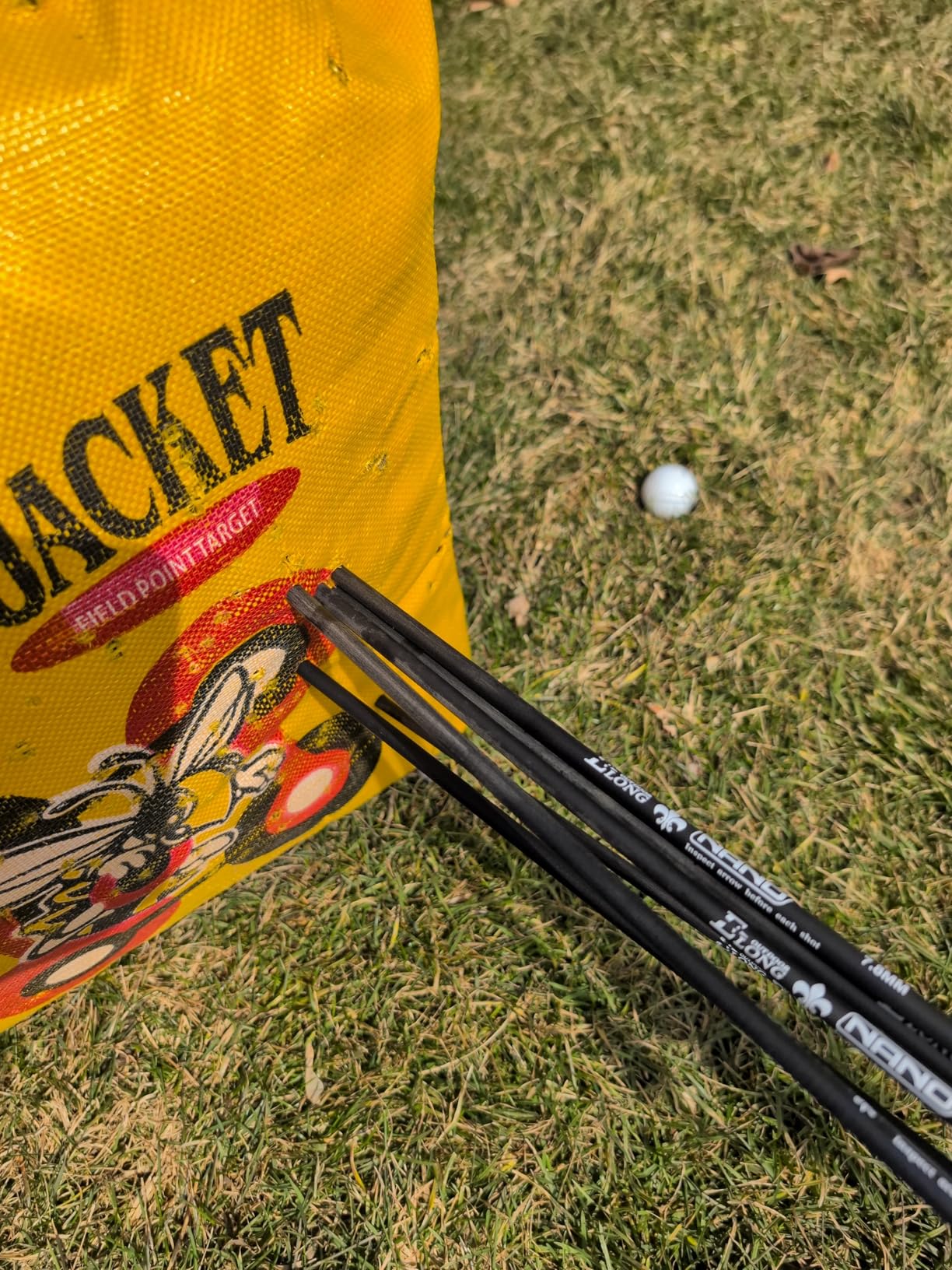 Carbon Arrow Hunting Arrows with 100 Grain Removable Tips for Archery Compound & Recurve & Traditional Bow Practice Shooting (Pack of 12) customer photo 2