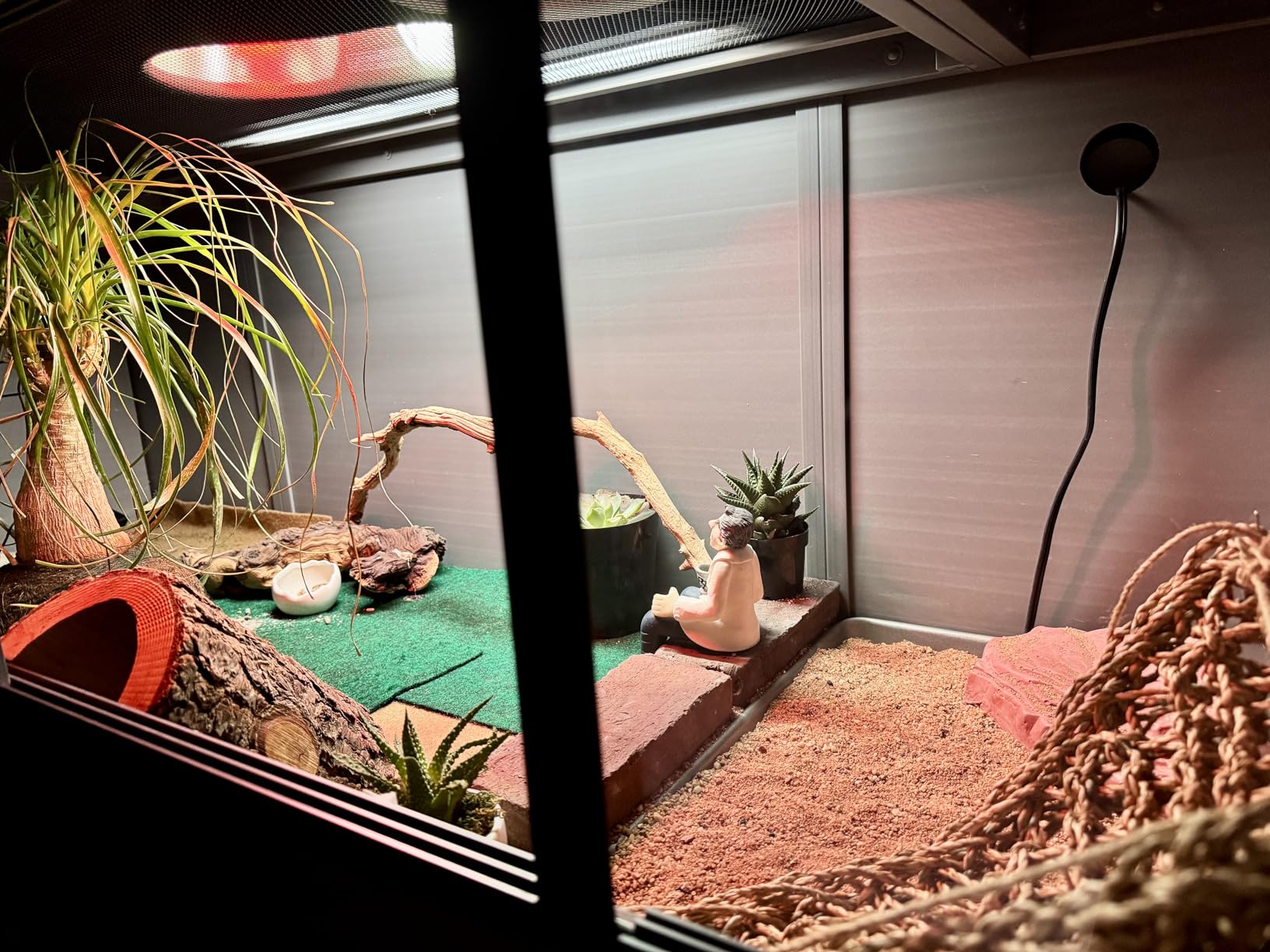 New Age Pet ECOFLEX 36