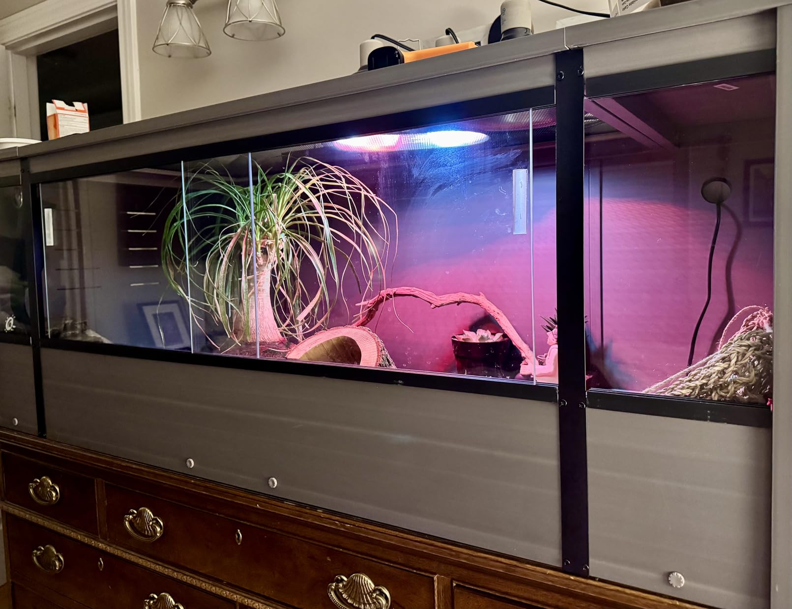New Age Pet ECOFLEX 36