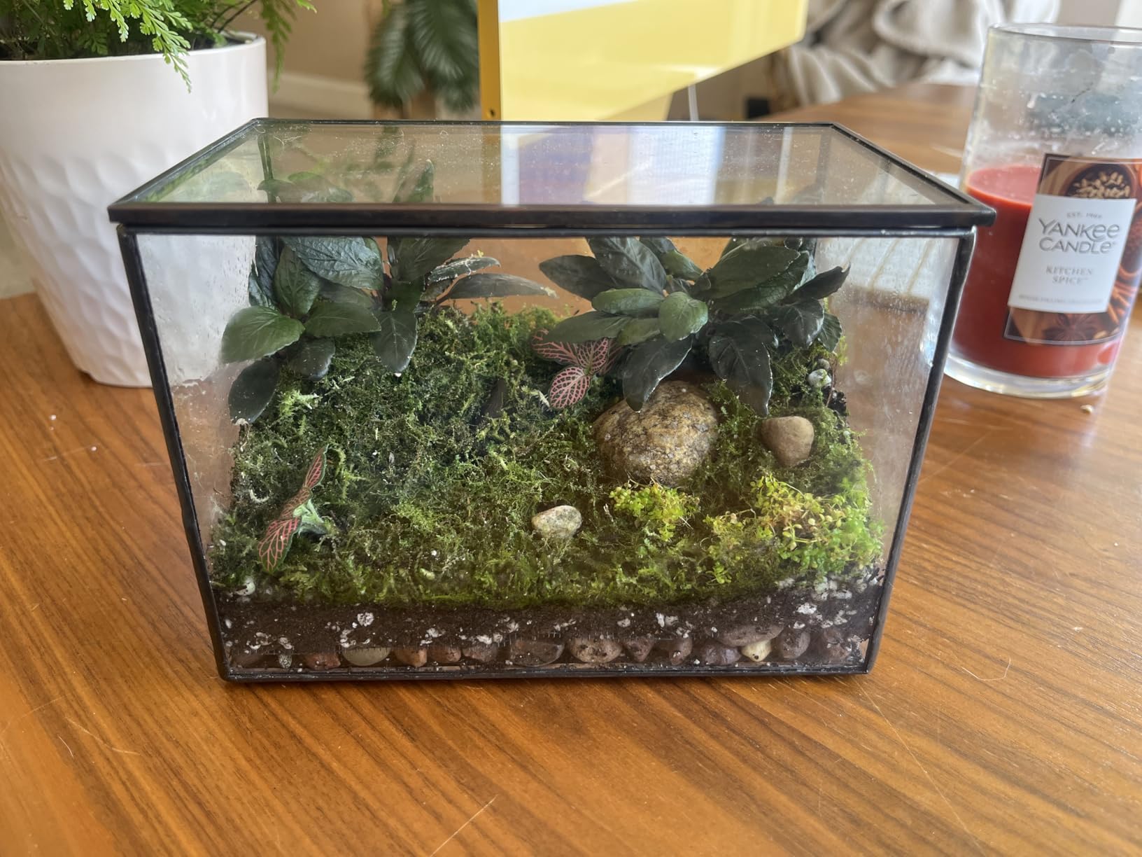 Geometric Glass Terrarium for Indoor Plants, Irregular Clear Planter, Black Opened Container Pot for Cacti, Succulents and Moss, Home Garden Office Tabletop Decor, 6.5x5.7x9.8'' No Door customer photo 1