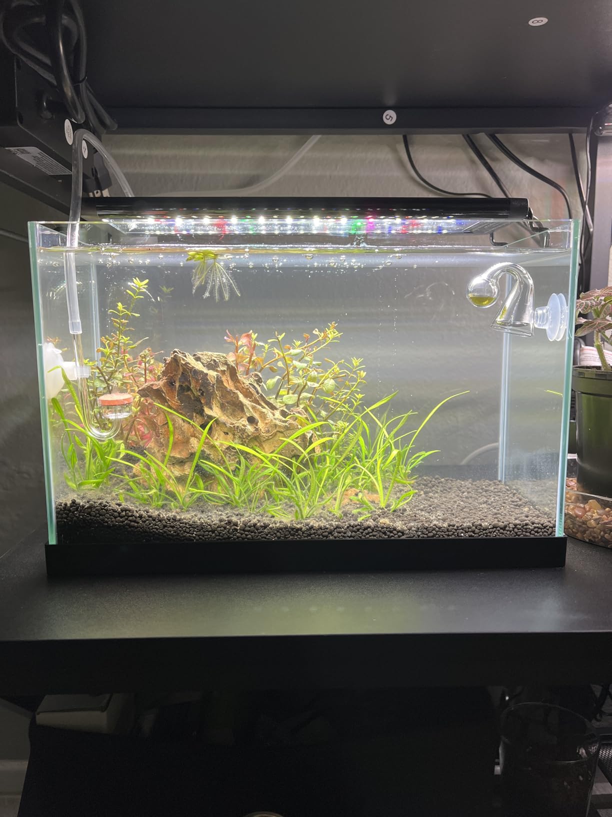 Rhinox Glass Drop Checker Kit with pre-Mixed 4dKH & pH Reagent, 3-Minutes' Setup, 3 Seconds to Read Result, Color Change Reflects CO2 Level customer photo 2