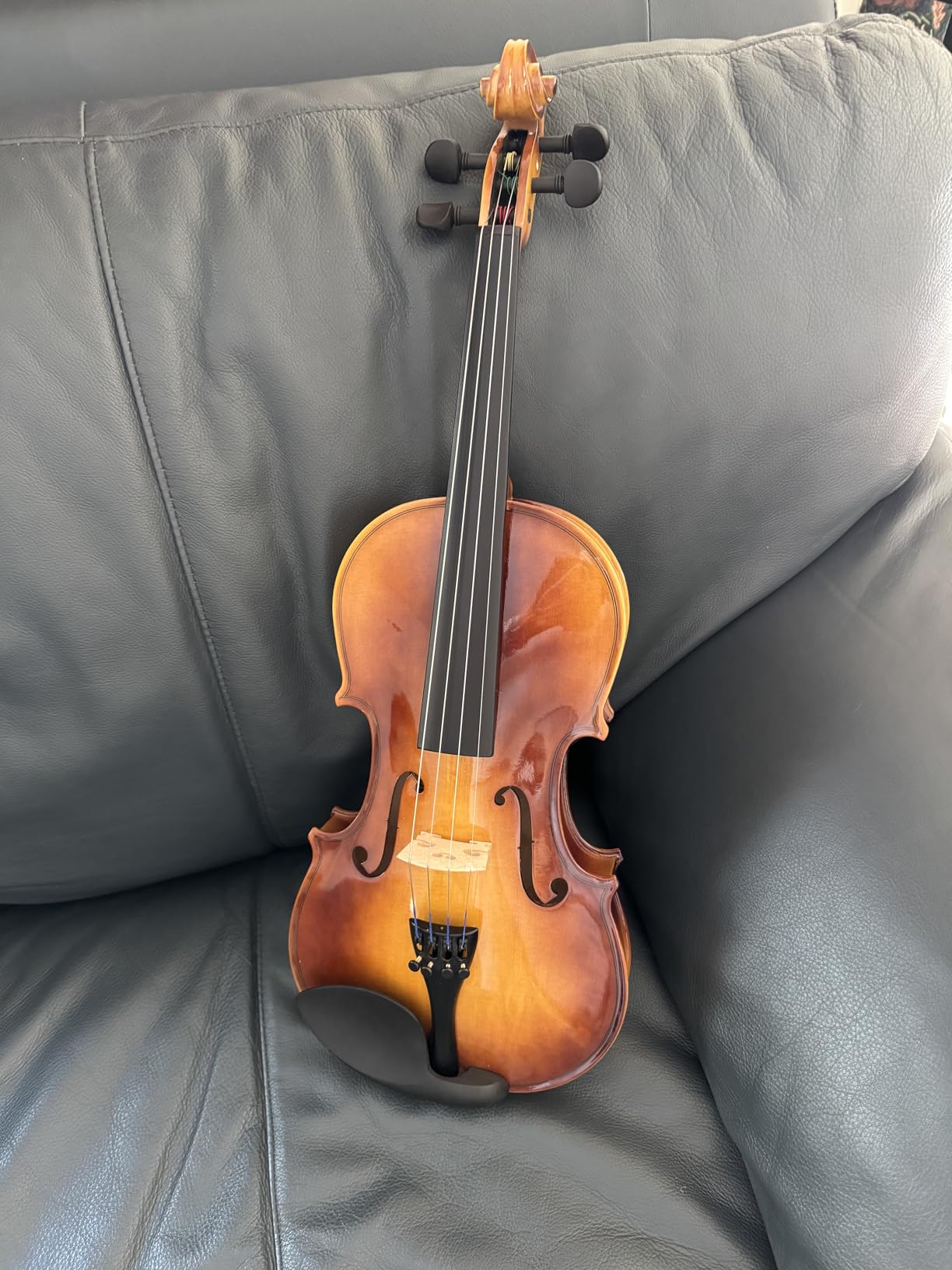 Eastar 1/2 Violin Set for Beginners, Half Size Fiddle with Hard Case, Rosin, Shoulder Rest, Bow, and Extra Strings (Imprinted Finger Guide on Fingerboard), EVA-2 customer photo 2