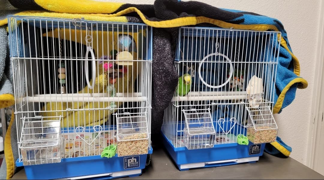 Prevue Pet Products Parakeet Square Roof Bird Cage with Handle - Carrier for Home or Travel, Small Bird Accessories, Easy Storage, for Canaries, Budgies, Finches, Parakeets, and More - Blue & White customer photo 2