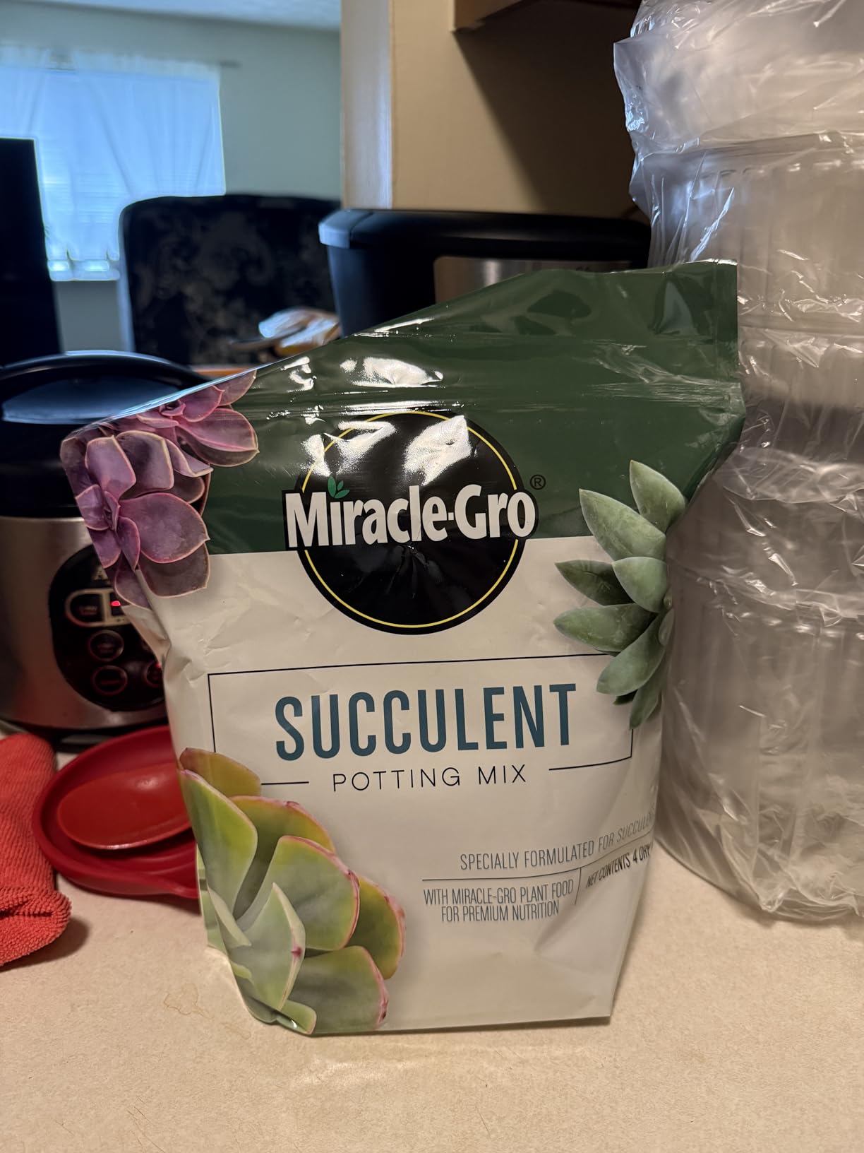 Miracle-Gro Succulent Potting Mix - Potting Soil Mix for Indoor Succulents, Aloe Vera and More, Made with Miracle-Gro Plant Food, 4 qt. customer photo 1