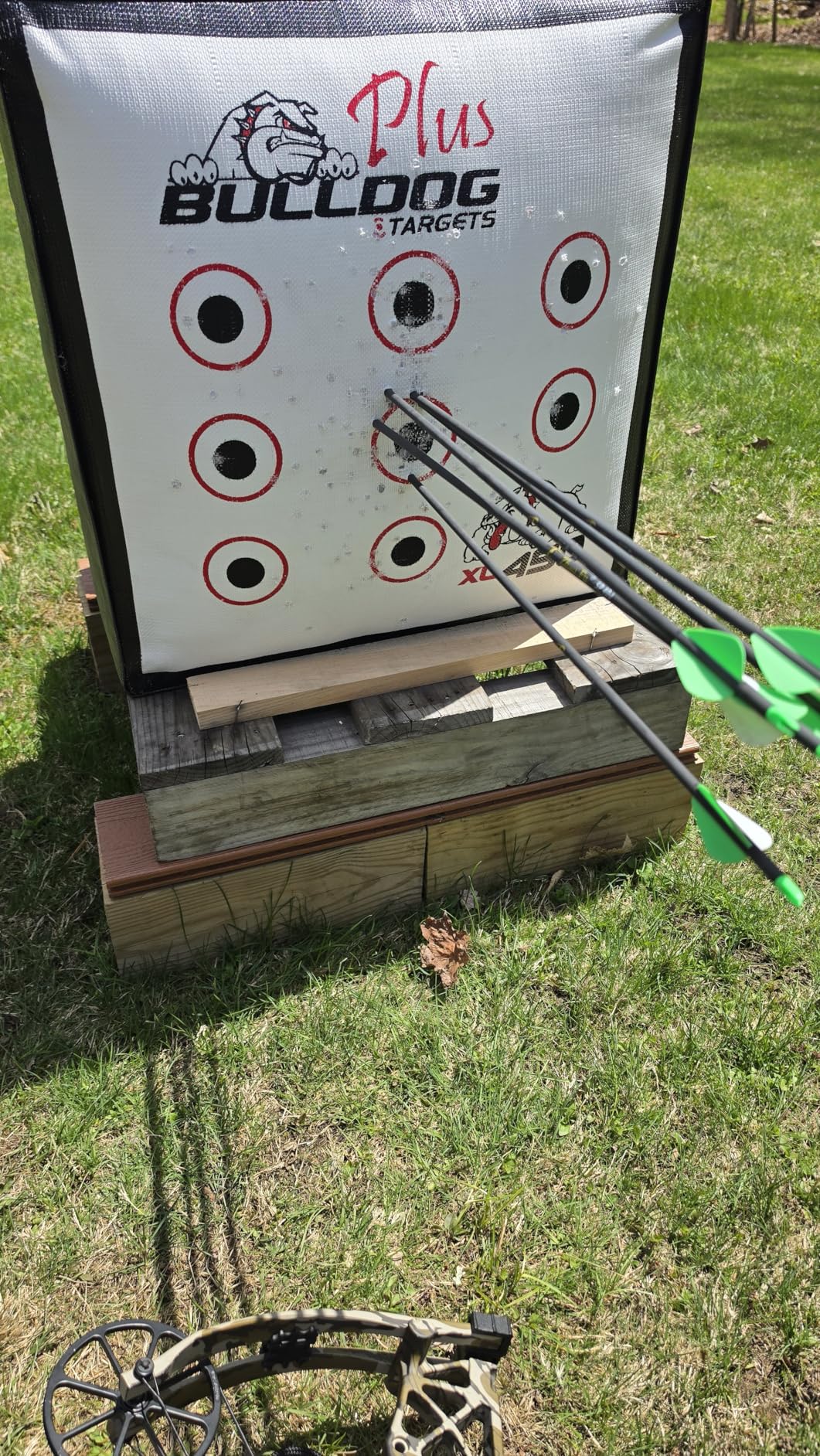 29 Inch Carbon Arrow Practice Hunting Arrows Spine 400 with Removable Tips for Archery Compound & Recurve & Traditional Bow (12 Pcs) customer photo 1