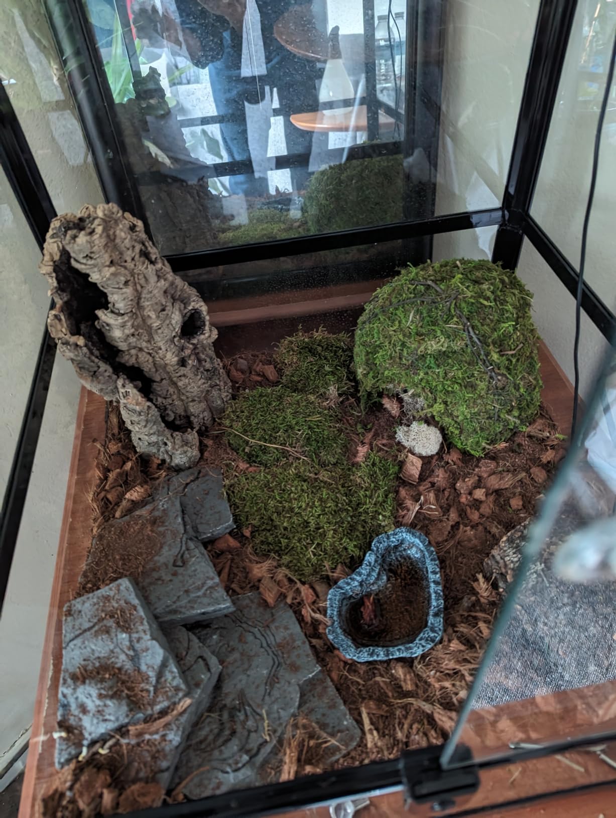 REPTI ZOO Amphibian Habitat Tank 10 Gallon, Full Vision Glass Reptile Terrarium 12