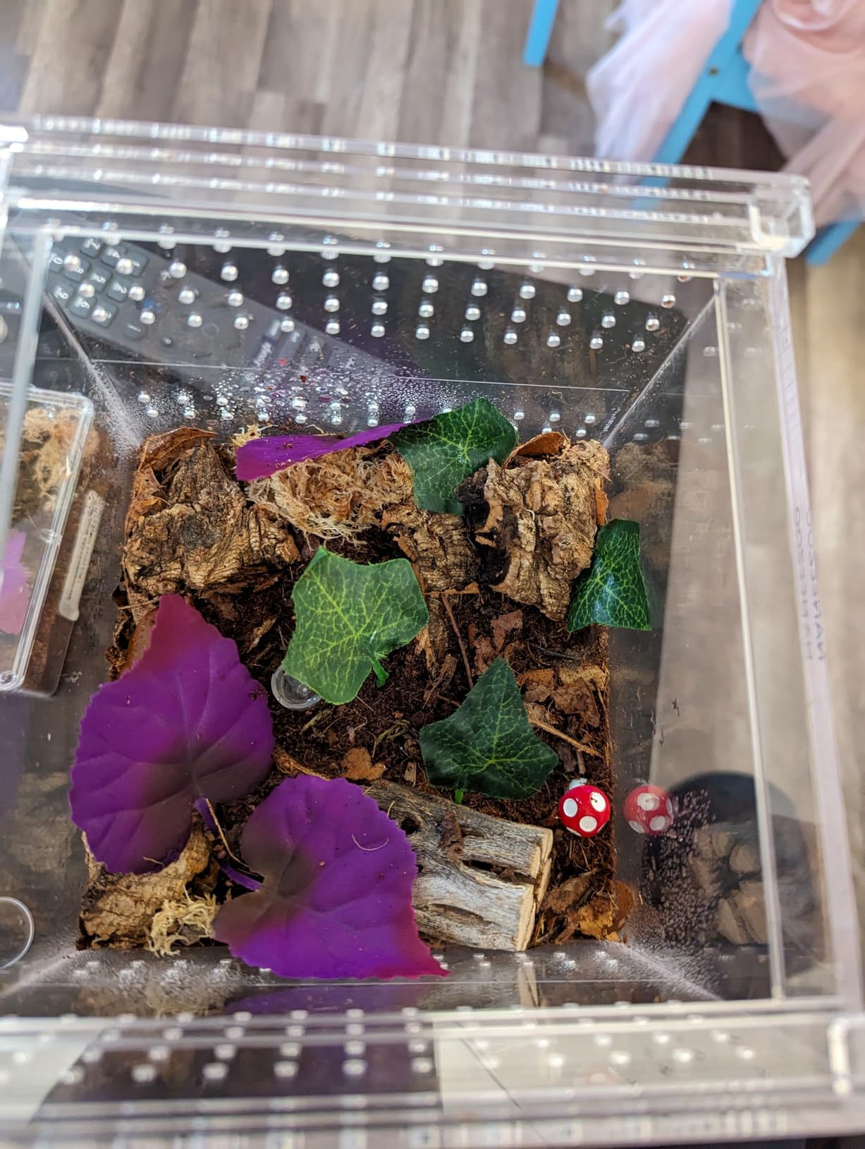 NANEEZOO Magnetic Acrylic Reptile Cage, 6